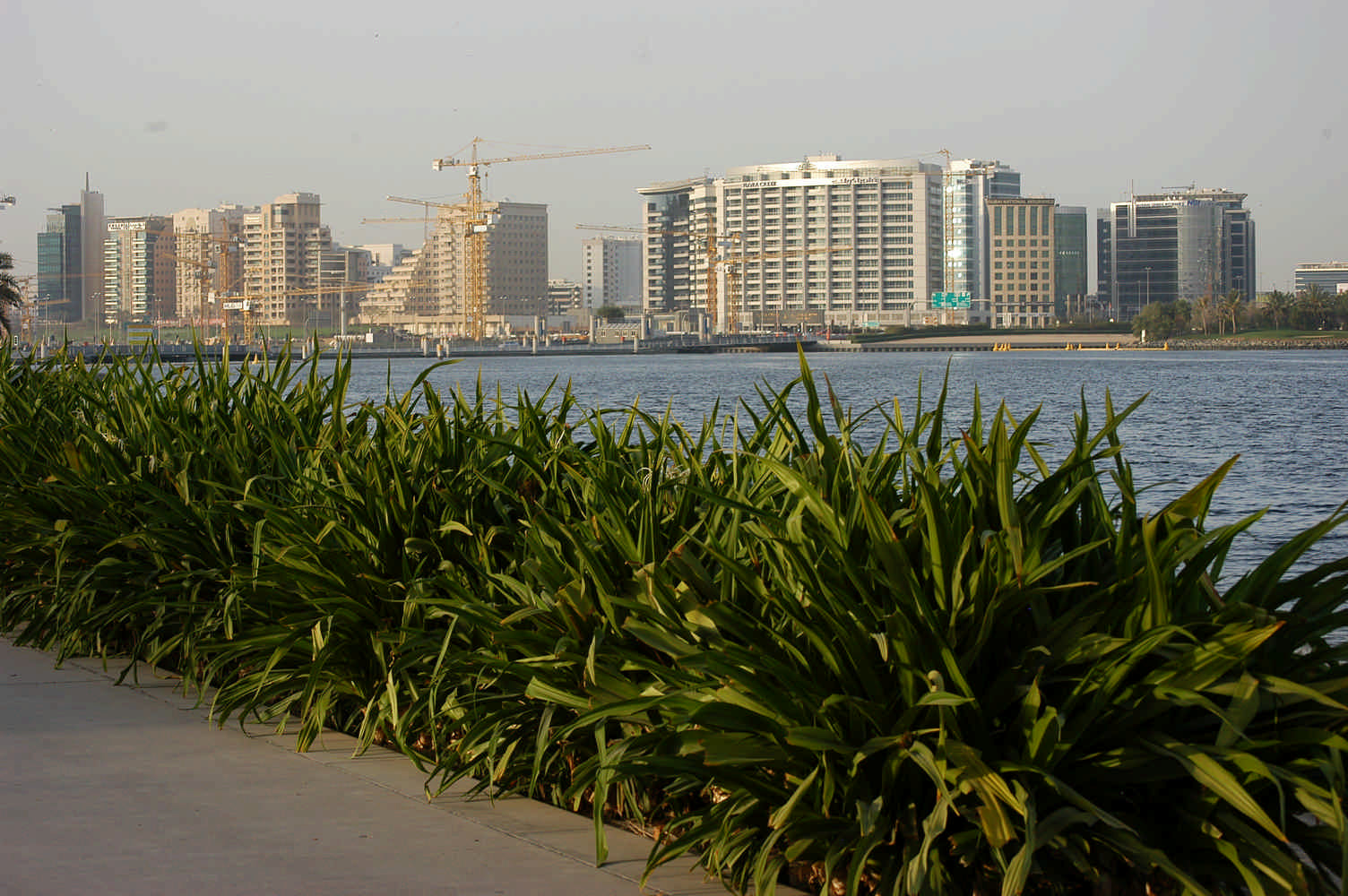 Nikon D100 sample photo. Dsc photography
