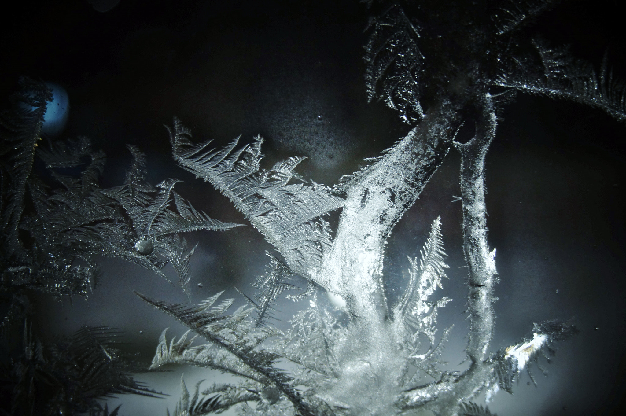 Sony Alpha NEX-F3 sample photo. Frost on a window pt.2 photography