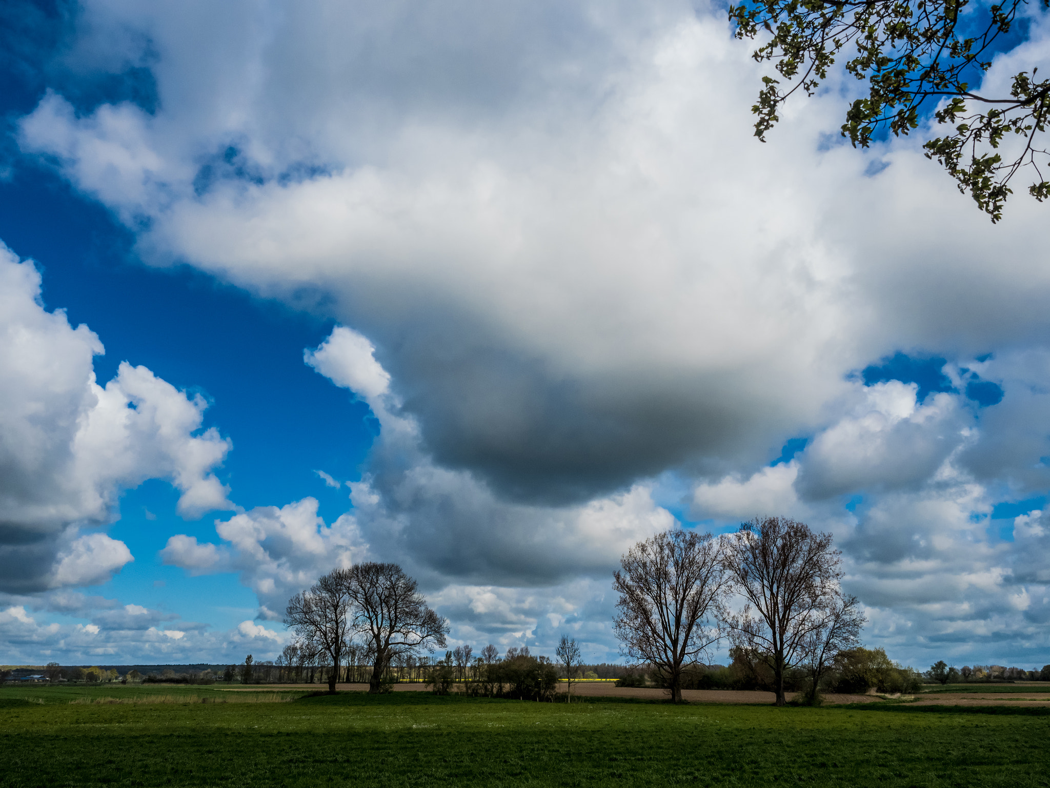 Olympus PEN-F sample photo. Niederrhein... photography