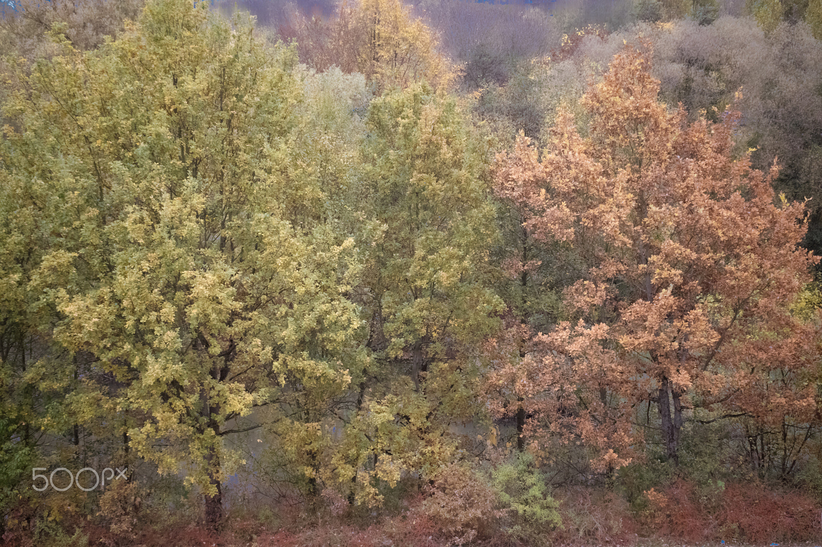 Tamron AF 18-200mm F3.5-6.3 XR Di II LD Aspherical (IF) Macro sample photo. Autumn photography