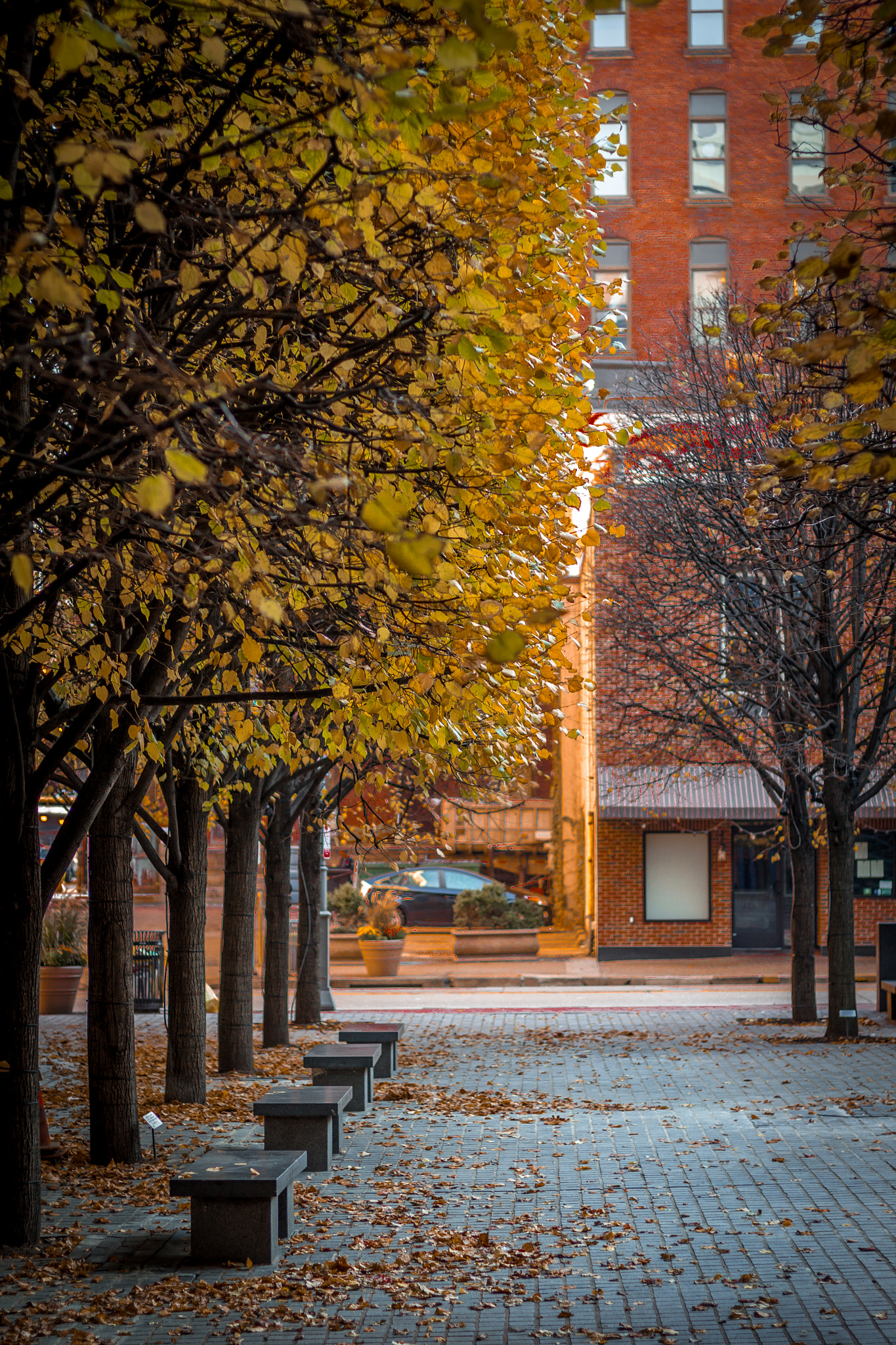 Canon EOS 650D (EOS Rebel T4i / EOS Kiss X6i) sample photo. Fall in the city photography
