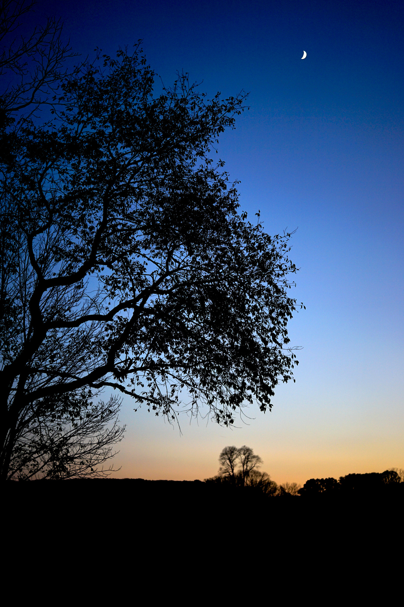 Sony Planar T* FE 50mm F1.4 ZA sample photo. Sunset photography