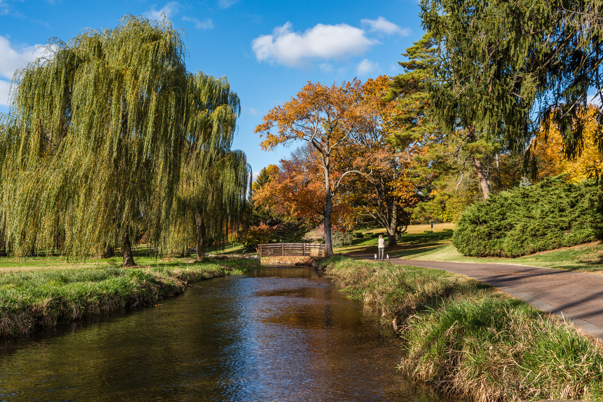 Zeiss Milvus 35mm f/2 sample photo. A walk in the park  photography