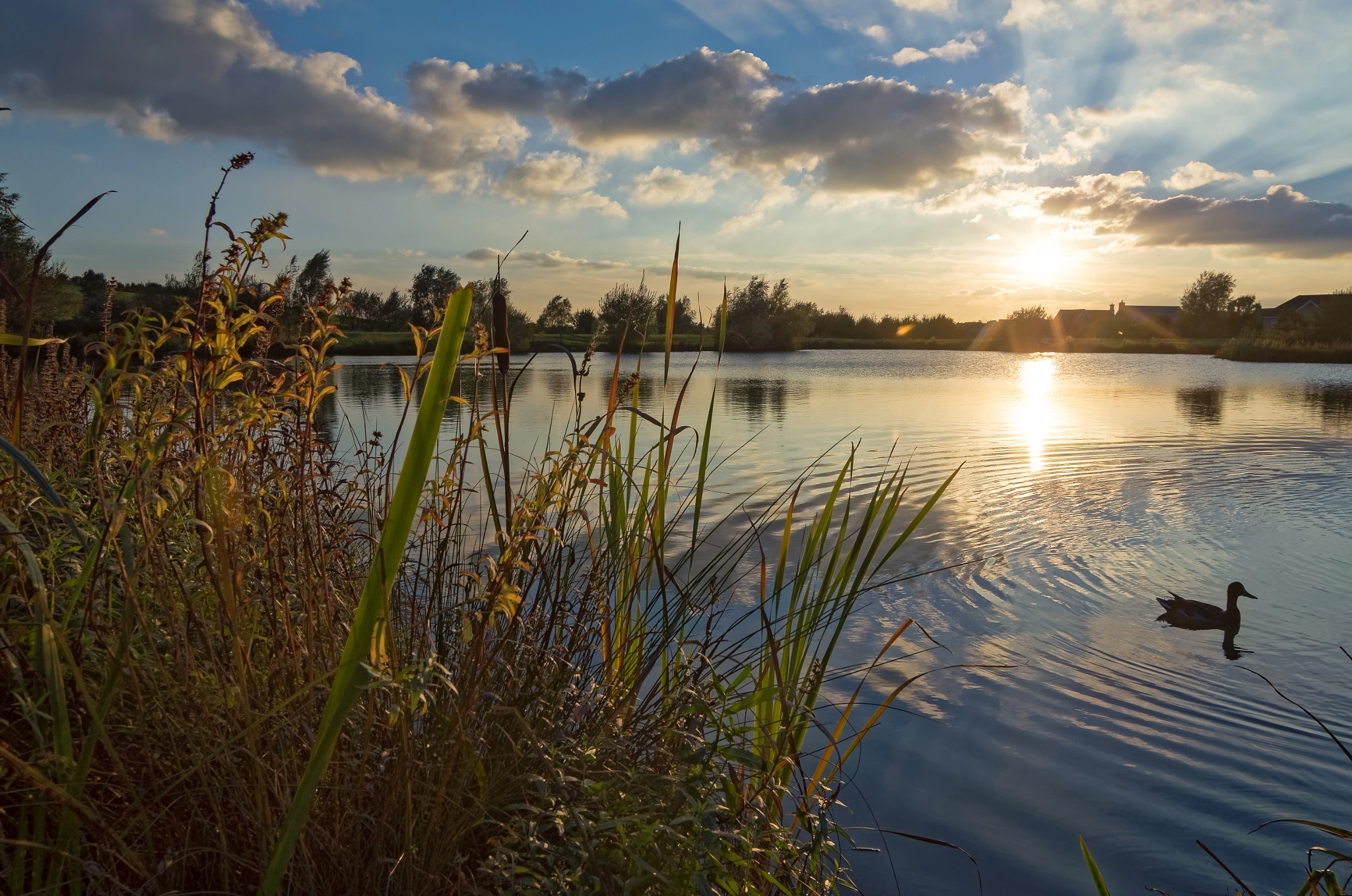 Pentax K-5 sample photo. Lake ewart photography