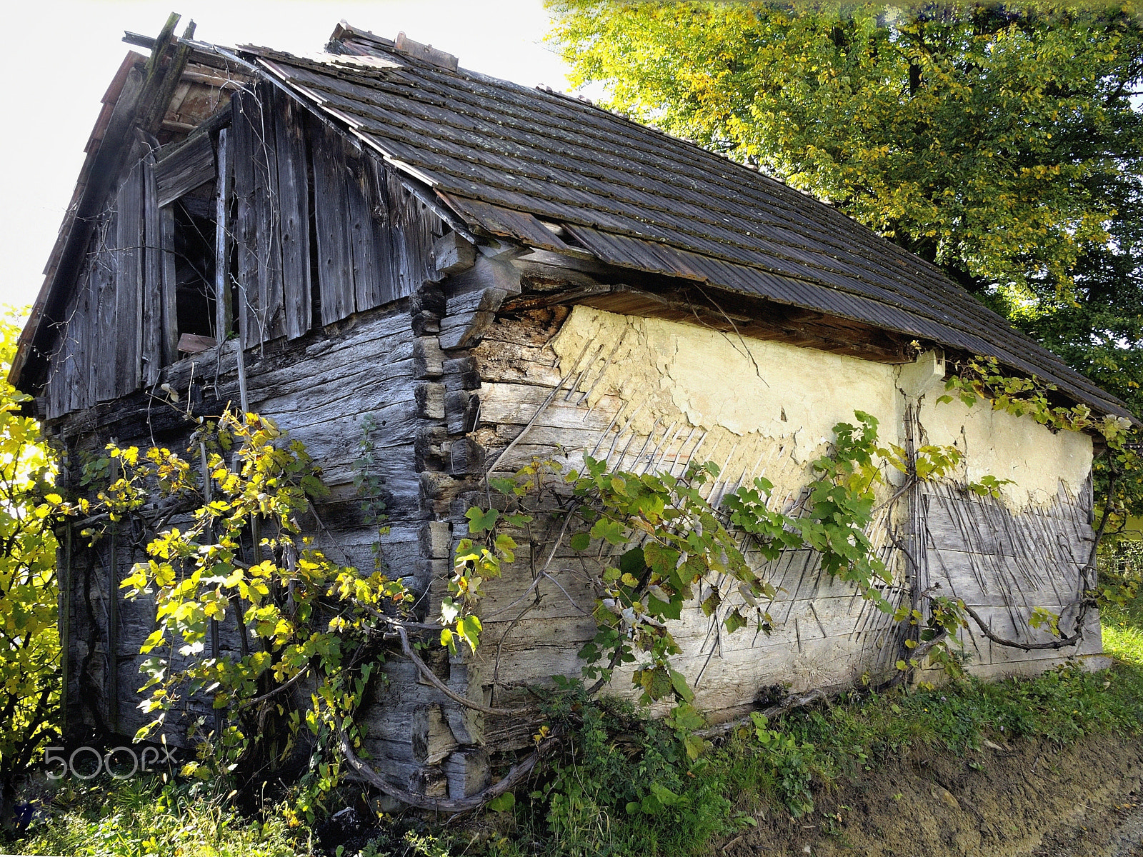 Nikon D5000 sample photo. By roads of slovenia photography