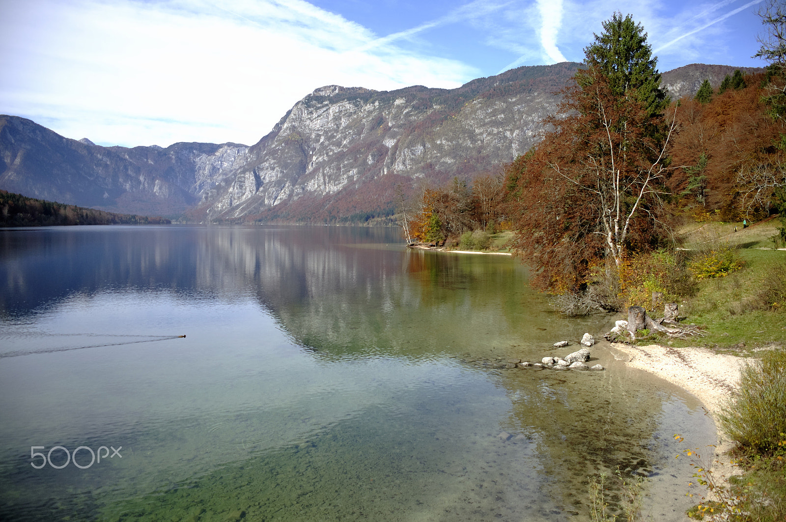 Nikon D5000 sample photo. Reflection of mountains in lake bohinj photography