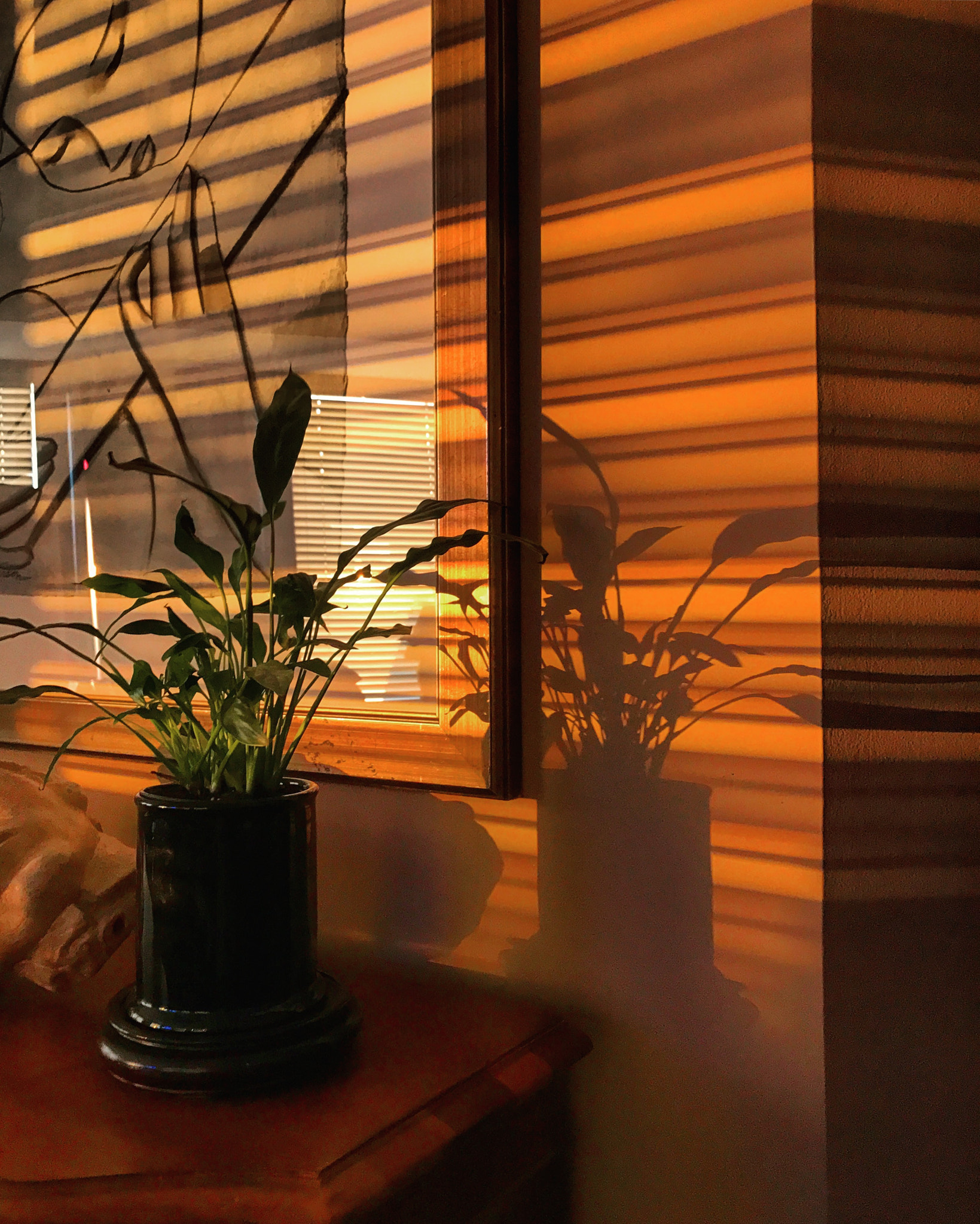 Apple iPhone9,4 sample photo. Wall reflections photography