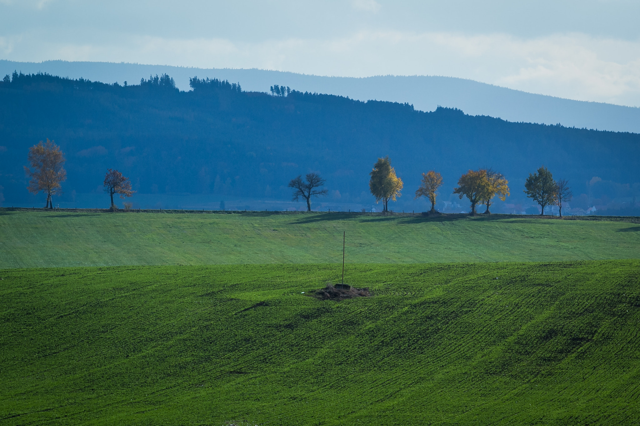Canon EF 70-200mm F2.8L USM sample photo. Colours photography