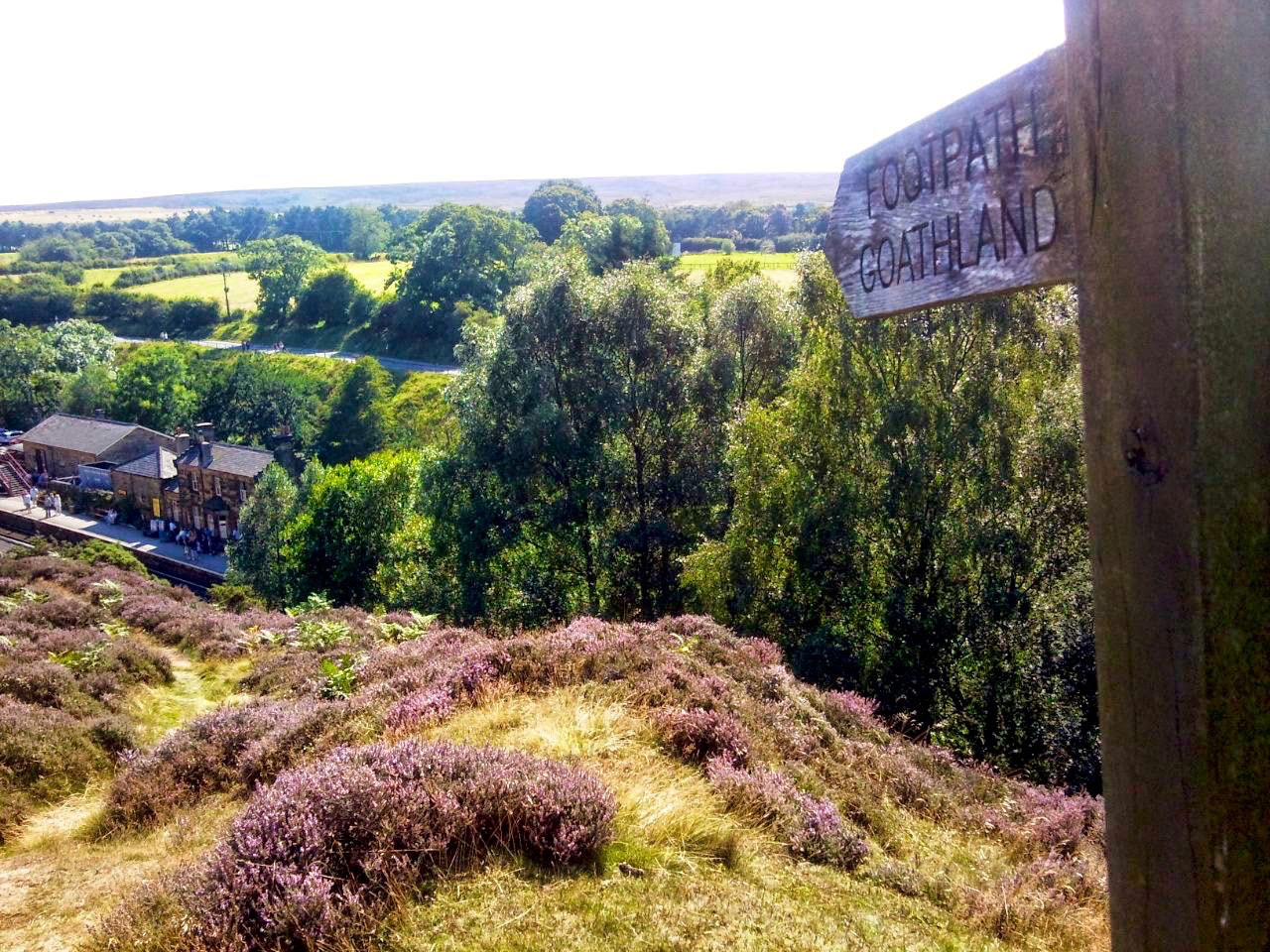 Samsung GT-i8910 sample photo. Footpath to goathland photography