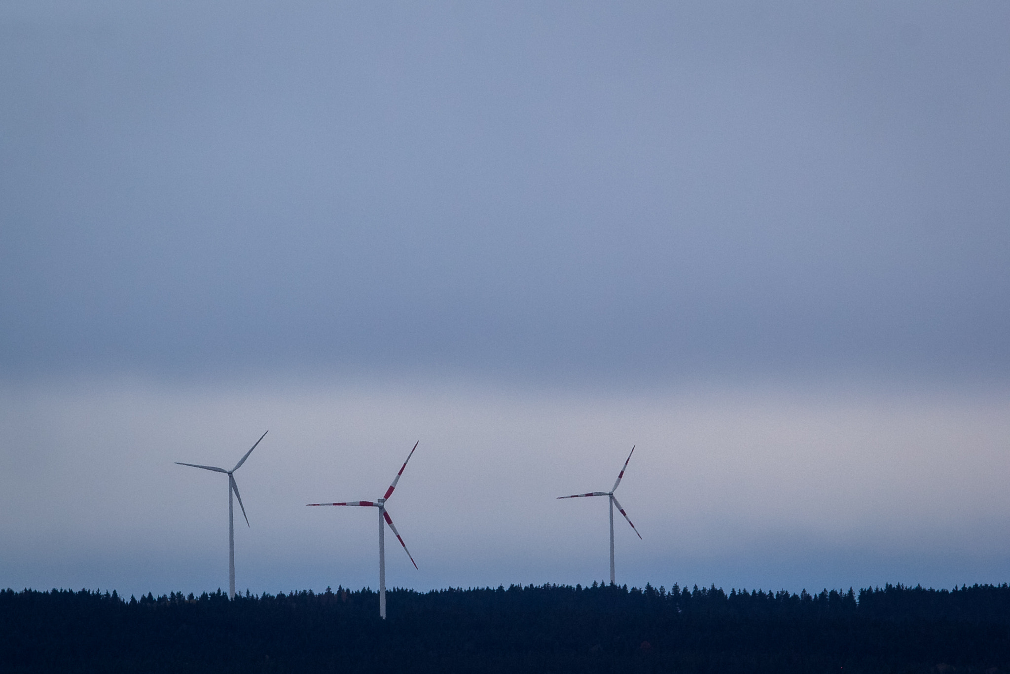 Canon EF 70-200mm F2.8L USM sample photo. Wind photography