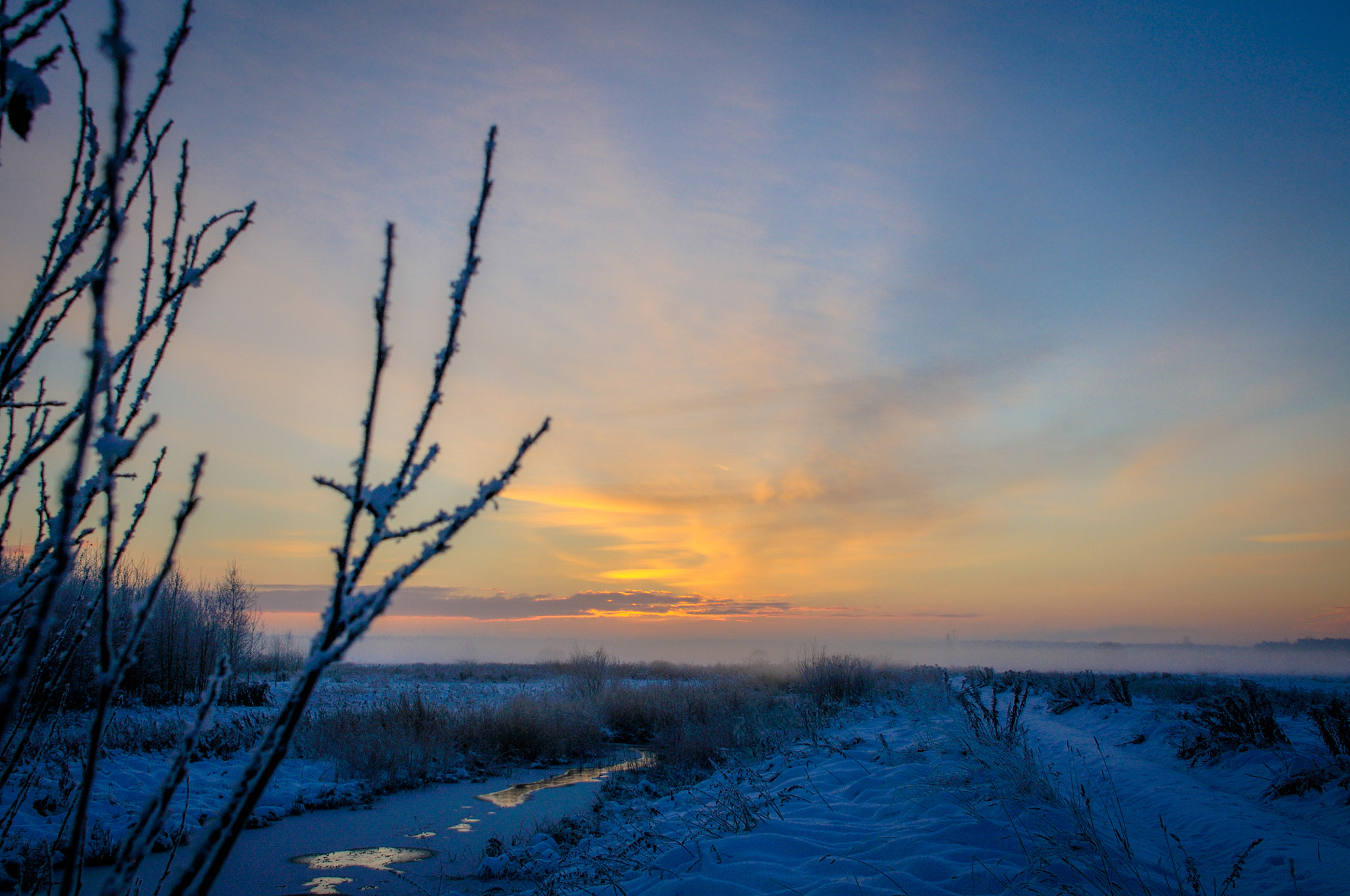 Nikon D300 sample photo. First snow. fog. sunrise. photography