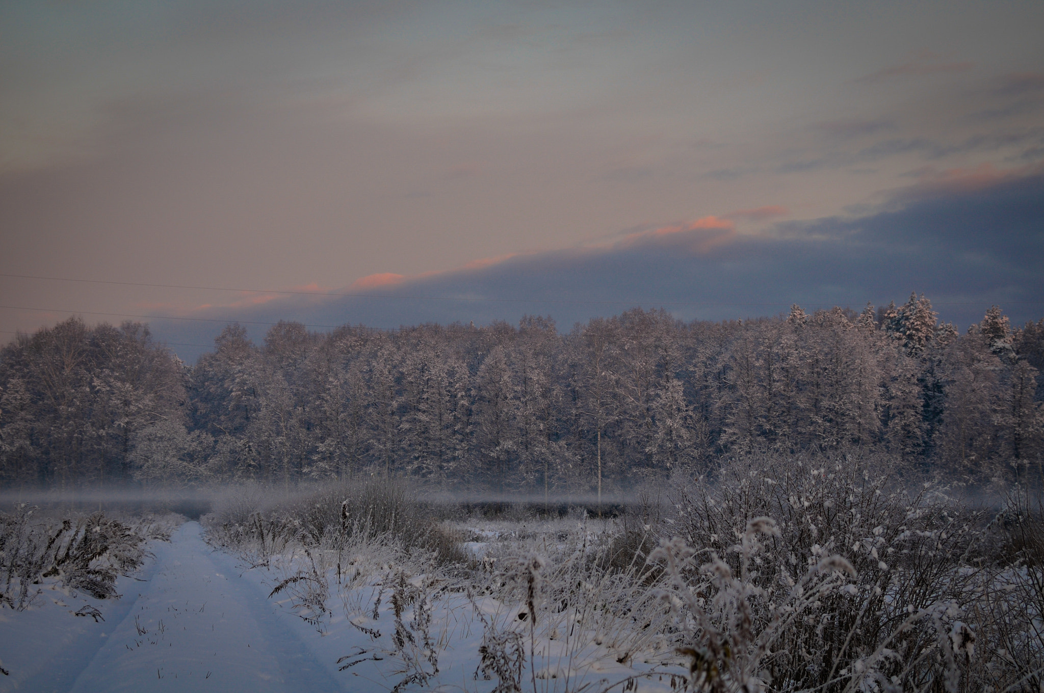 Nikon D300 sample photo. First snow. fog. sunrise. photography