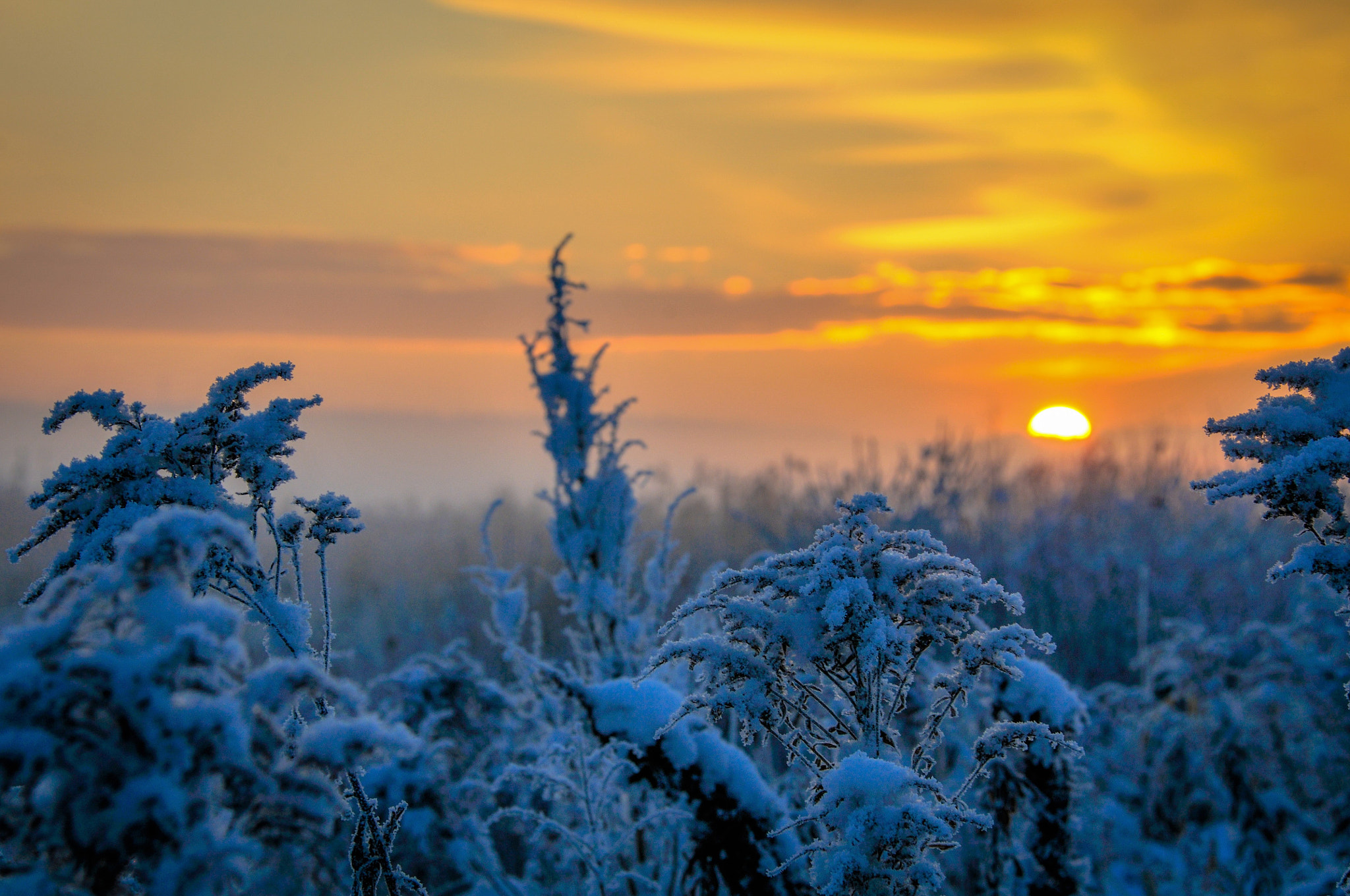 Nikon D300 sample photo. First snow. fog. sunrise. photography