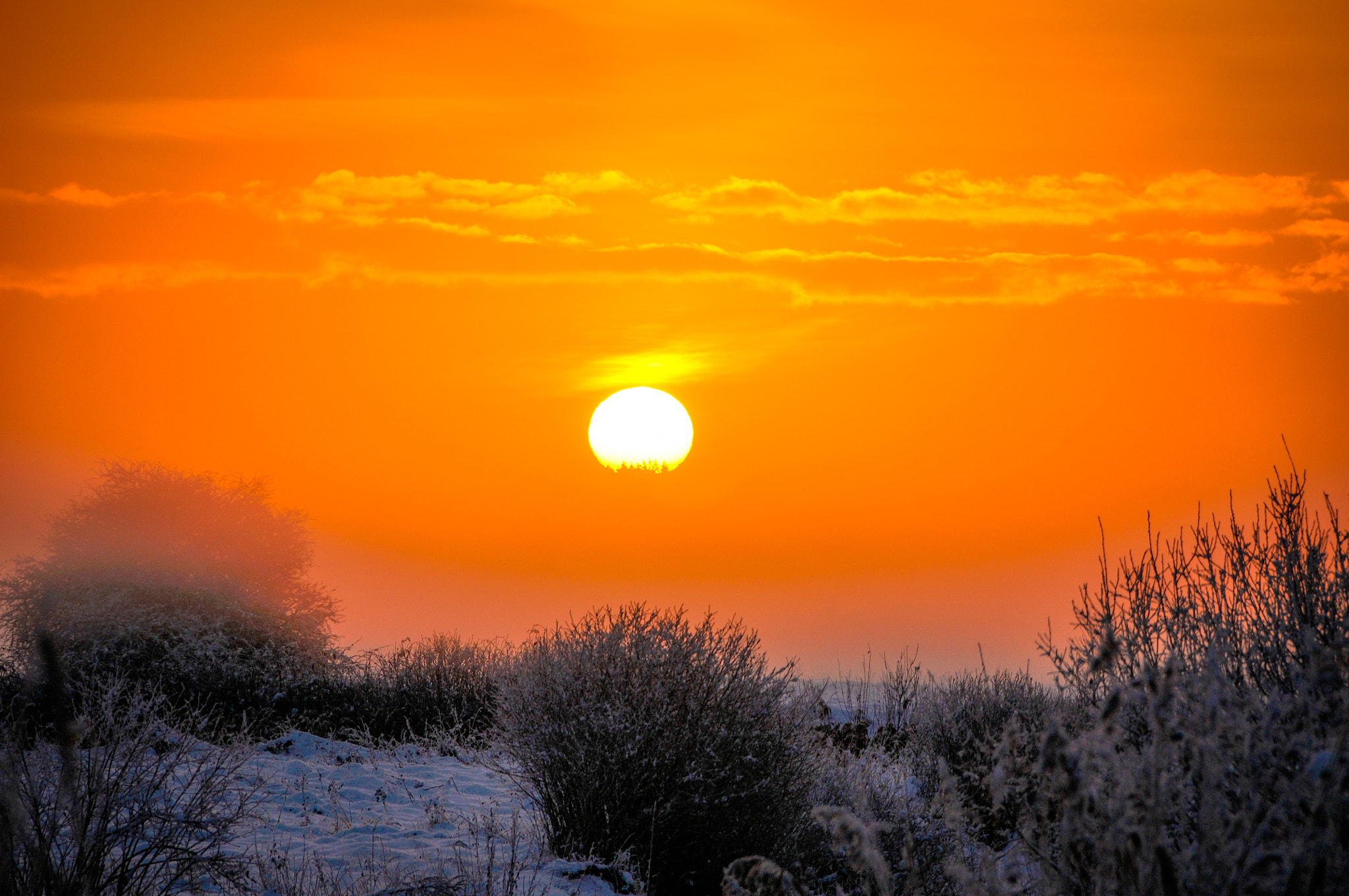 Nikon D300 sample photo. First snow. fog. sunrise. photography