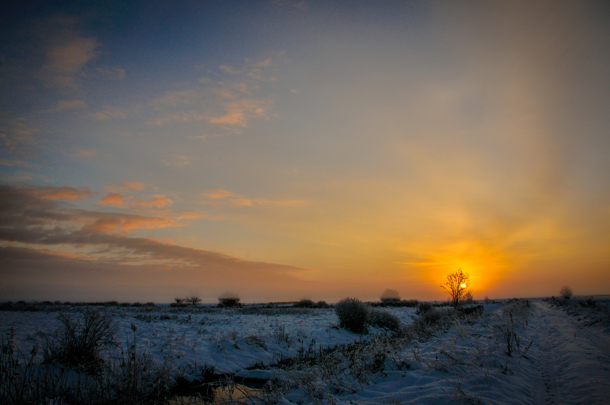 Nikon D300 sample photo. First snow. fog. sunrise. photography