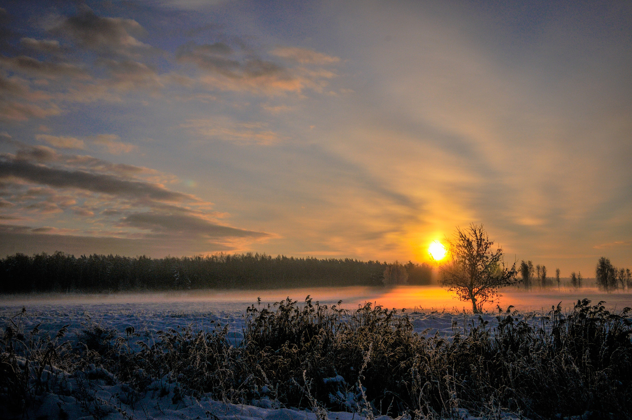 Nikon D300 sample photo. First snow. fog. sunrise. photography