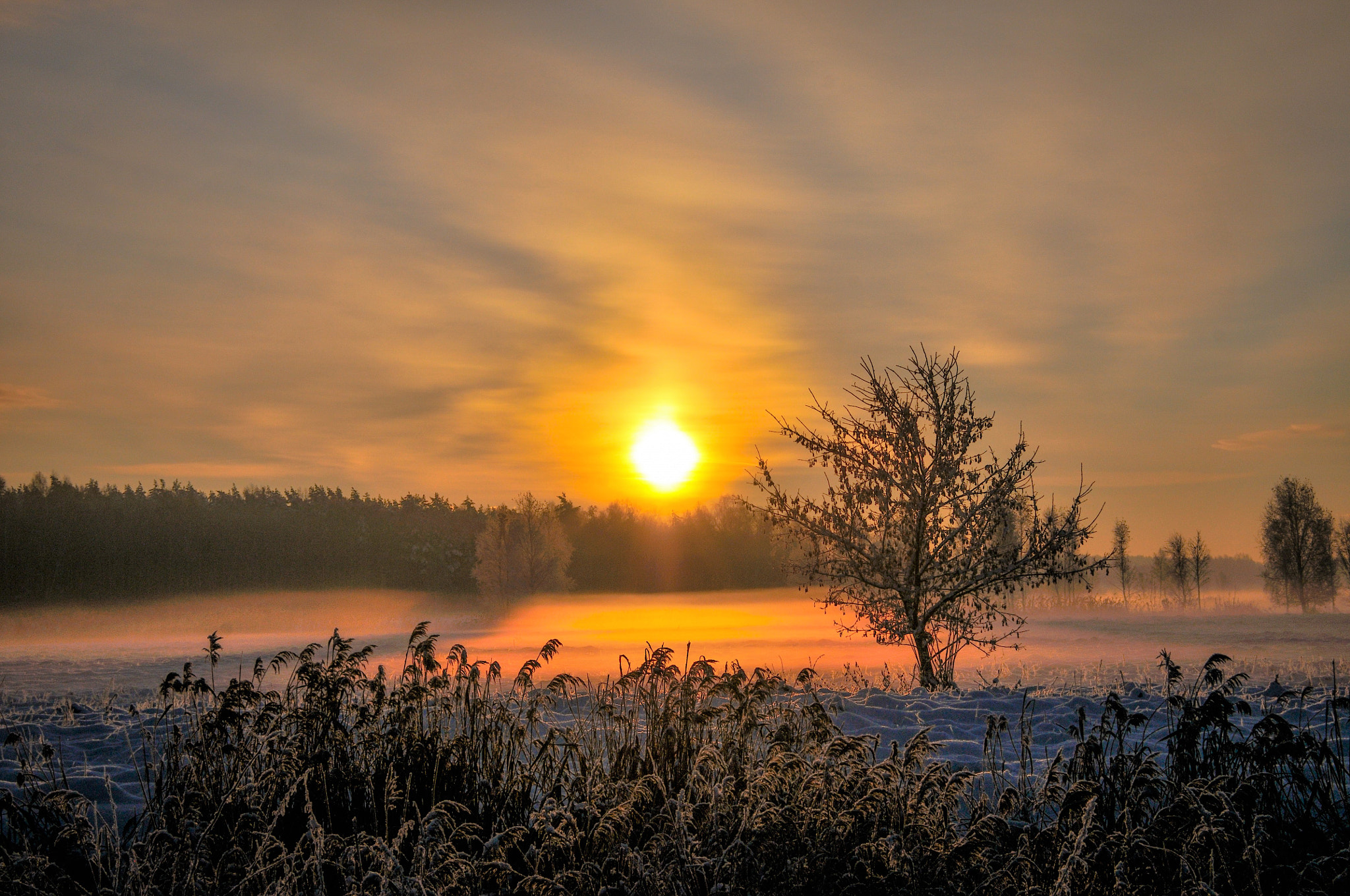 Nikon D300 sample photo. First snow. fog. sunrise. photography