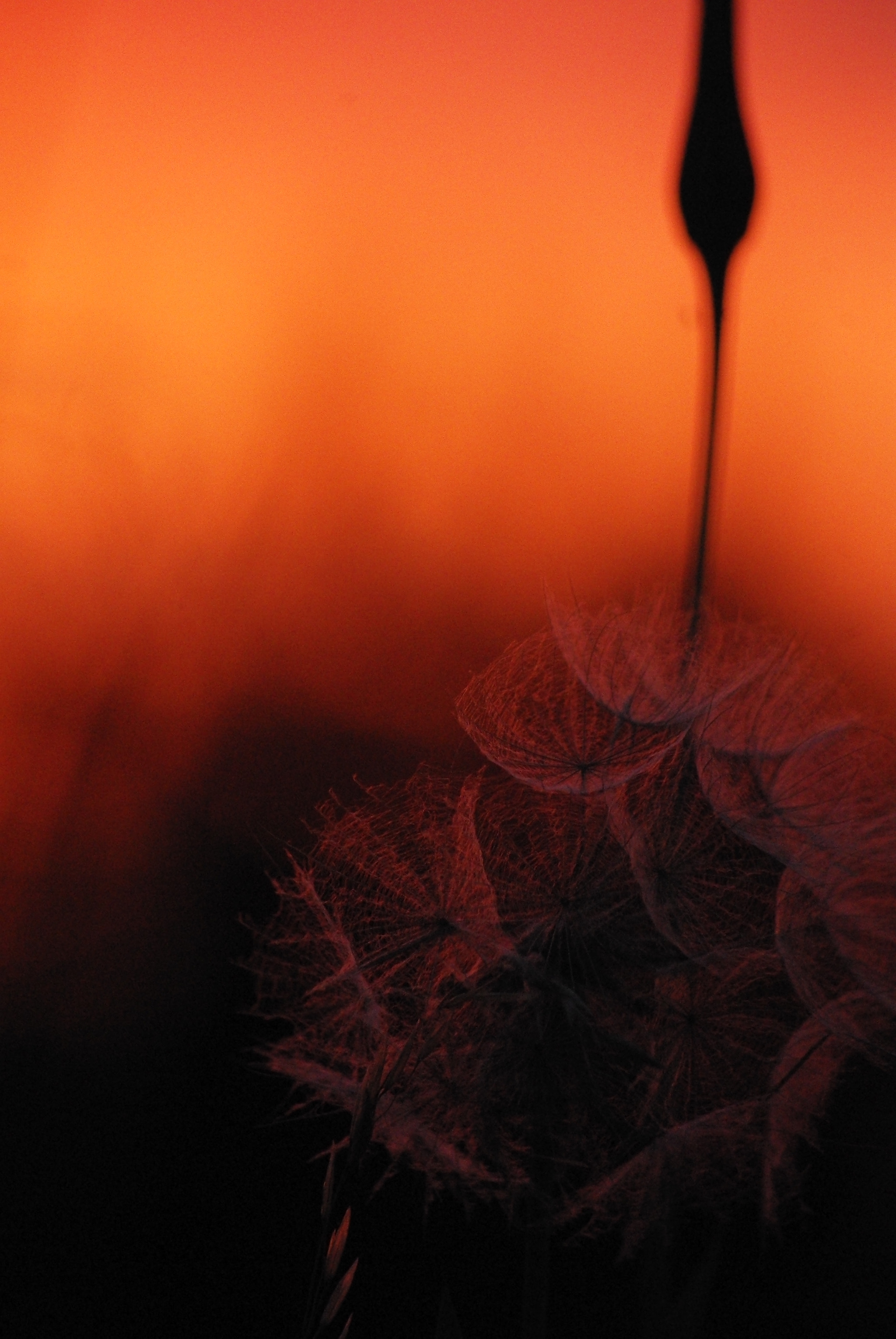 Pentax smc DA 50-200mm F4-5.6 ED sample photo. Sunset photography