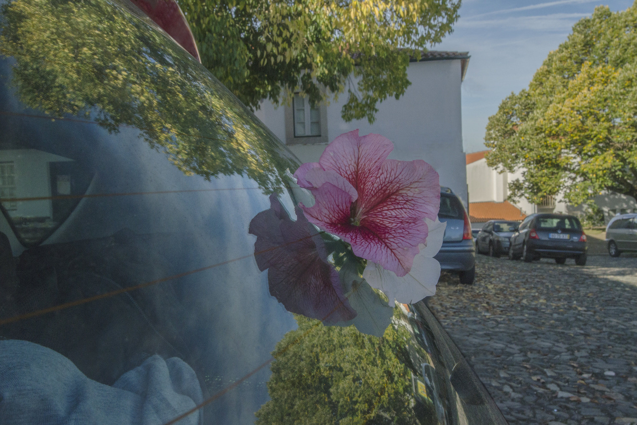 Nikon AF-S Nikkor 17-35mm F2.8D ED-IF sample photo. "reflectophotography ... a new approach of ... photography