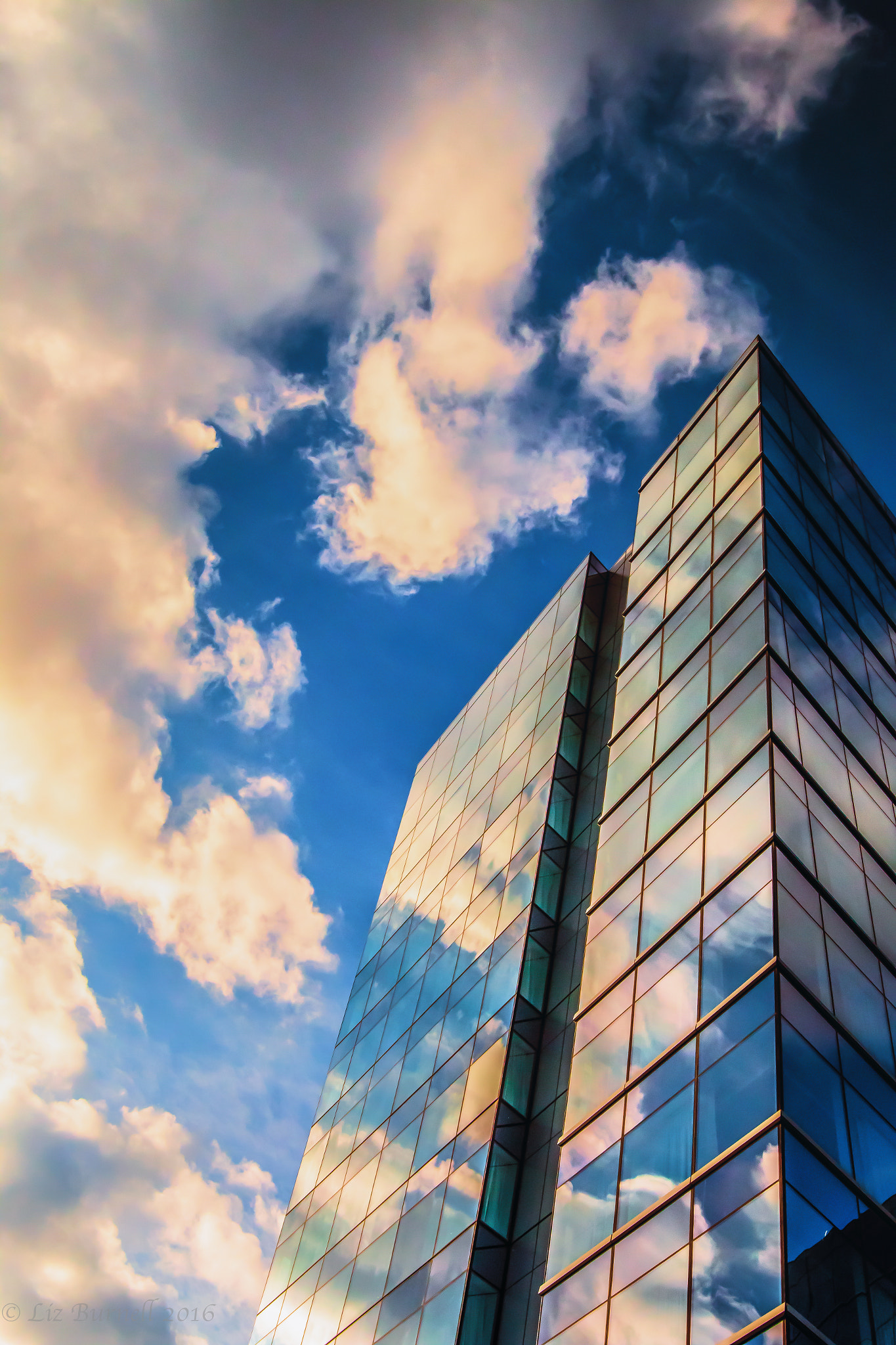 Sigma 24mm F1.4 DG HSM Art sample photo. Look up! photography
