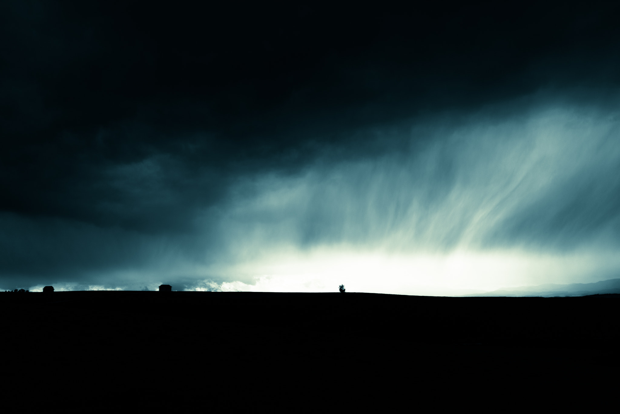 Nikon D600 sample photo. A tree on the hill photography