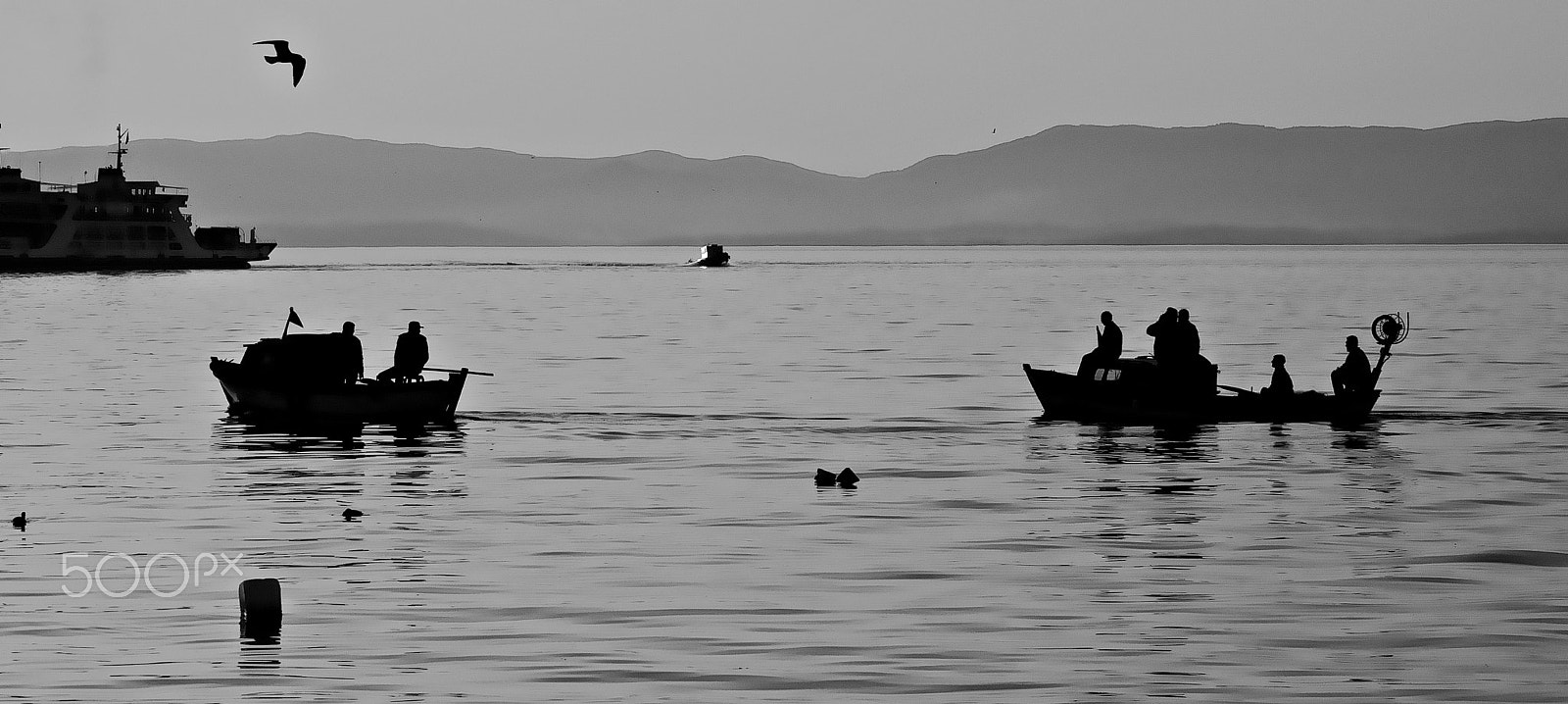Sony Alpha DSLR-A100 sample photo. Return photography