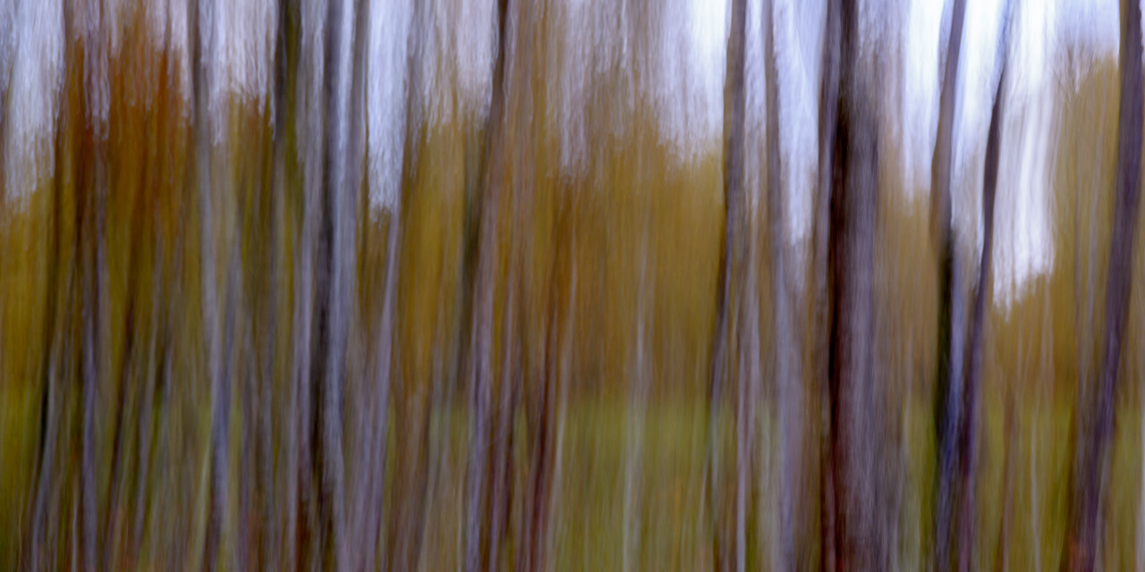 AF Zoom-Nikkor 28-105mm f/3.5-4.5D IF sample photo. Autumn photography