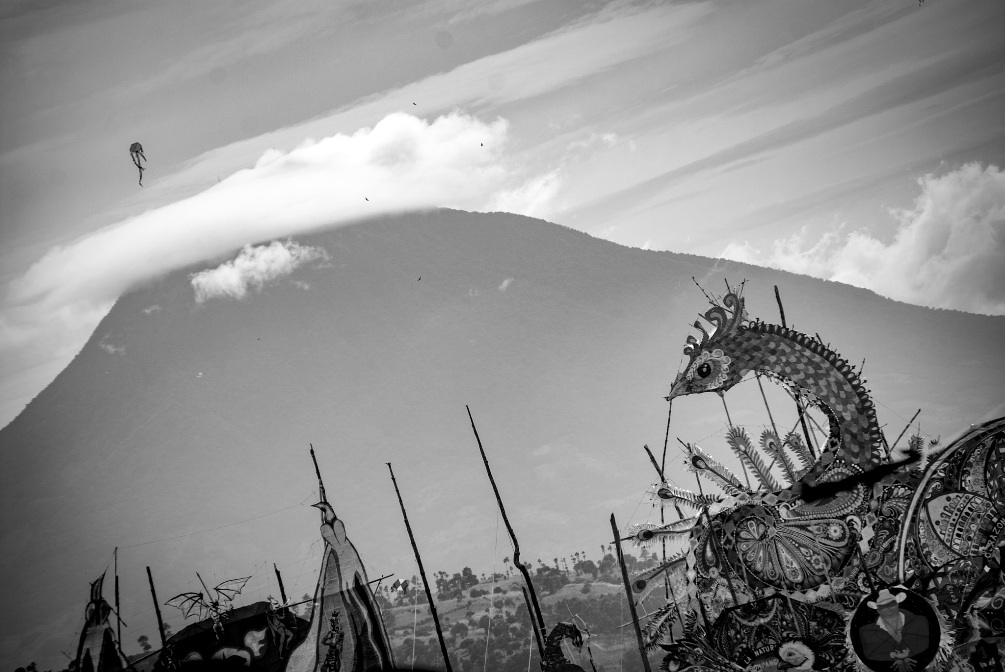 Nikon D60 sample photo. Te veo photography