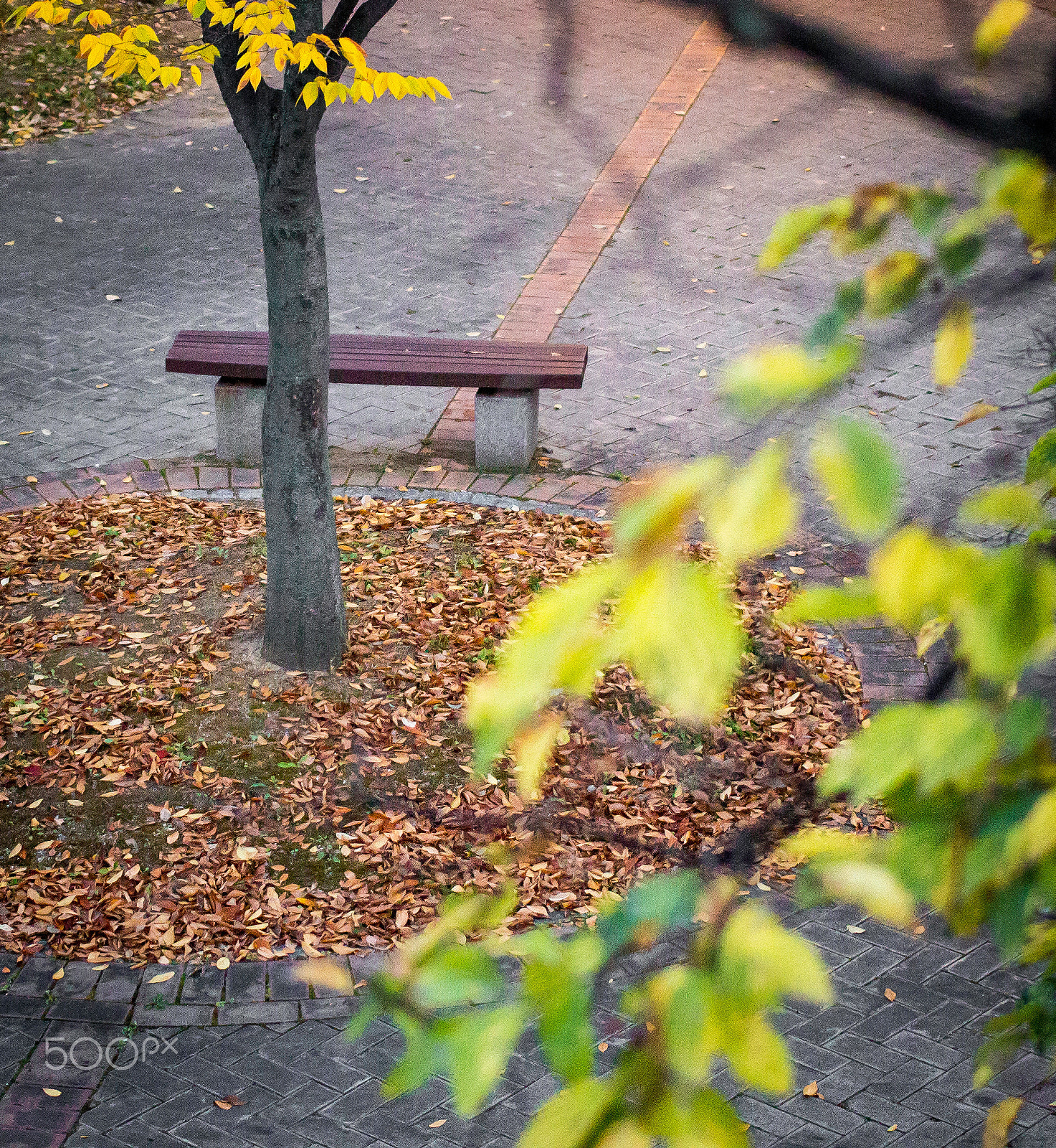 Canon EOS 100D (EOS Rebel SL1 / EOS Kiss X7) + Canon EF 40mm F2.8 STM sample photo. The bench photography