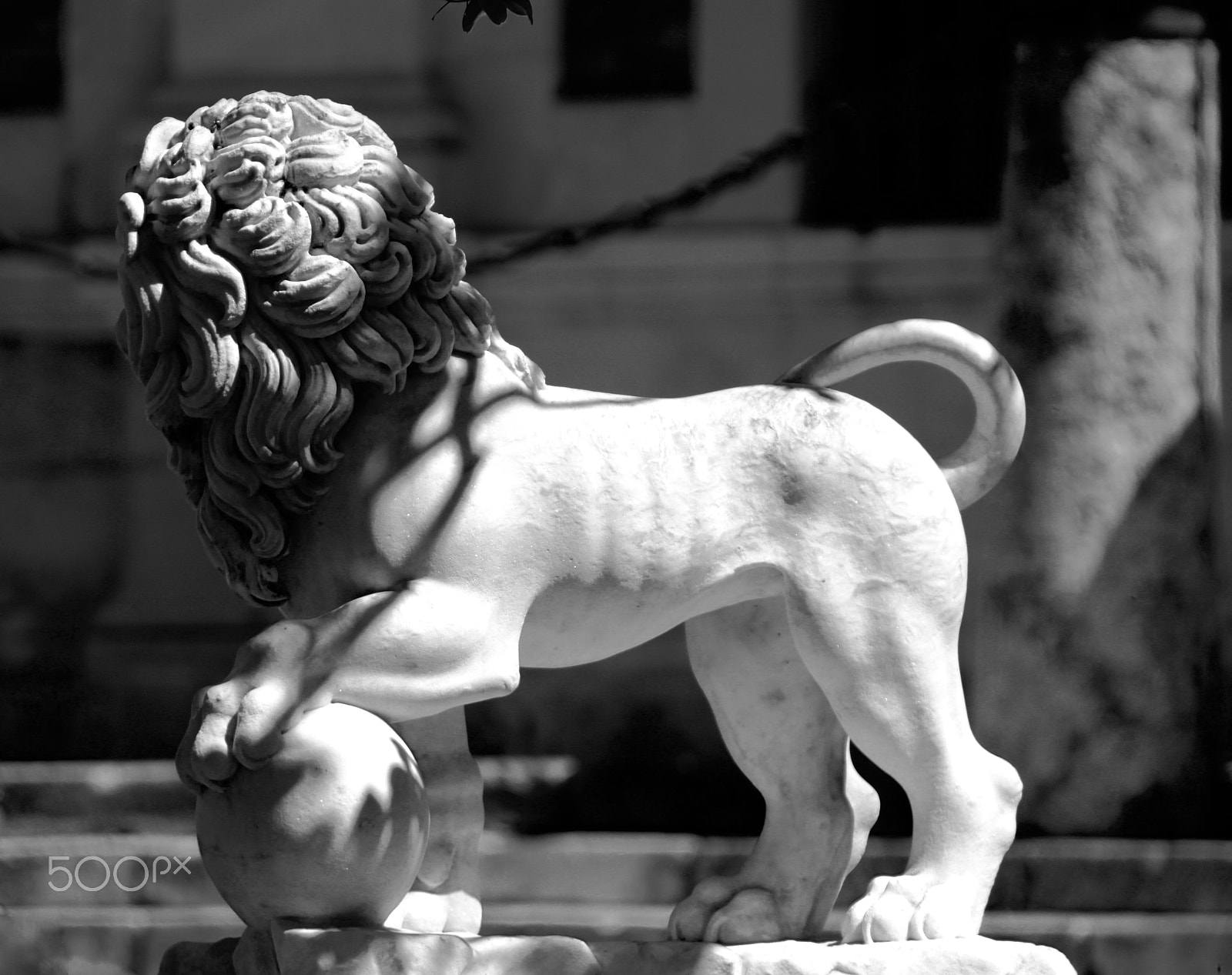 Canon EOS 500D (EOS Rebel T1i / EOS Kiss X3) sample photo. Leon del archivo de indias photography