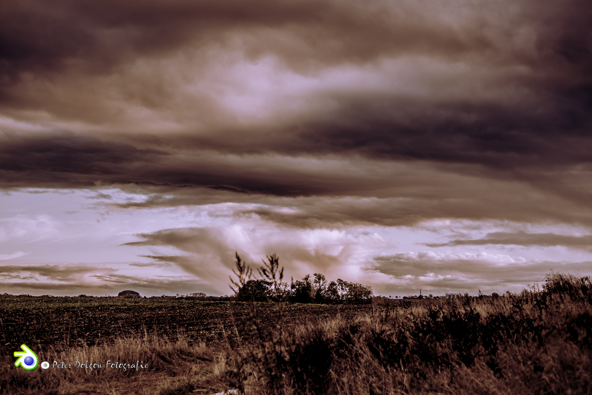 Sony a99 II + Sony 50mm F1.4 sample photo. November wetter  photography