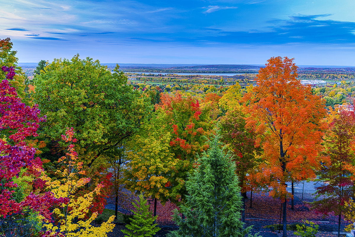 Nikon AF-S Nikkor 18-35mm F3.5-4.5G ED sample photo. Fall colors photography