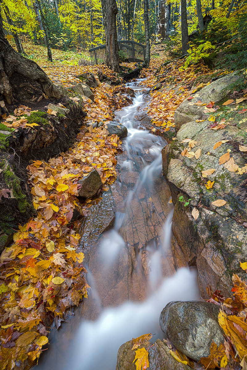 Nikon AF-S Nikkor 18-35mm F3.5-4.5G ED sample photo. Water leaves stream photography