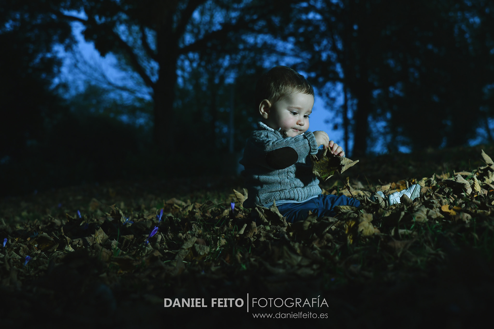Sigma 24-70mm F2.8 EX DG HSM sample photo. Sweet autumn photography