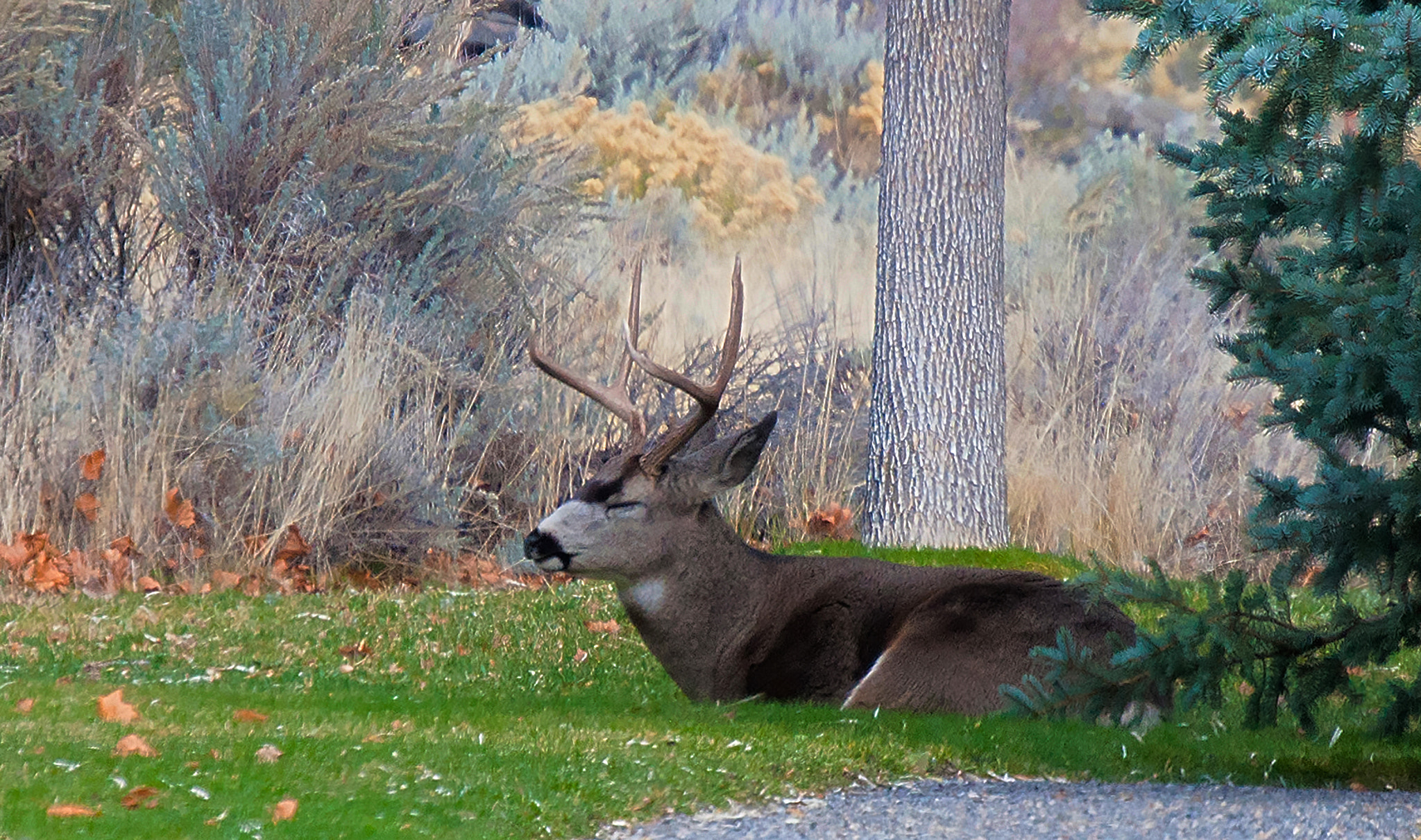 Nikon D5000 sample photo. No worries photography