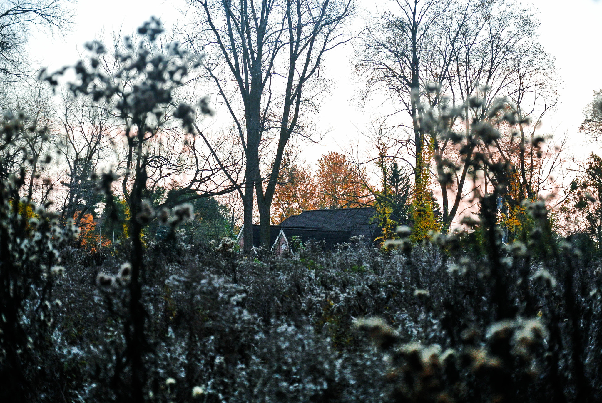 Nikon 1 Nikkor VR 30-110mm F3.8-5.6 sample photo. Lonely house in the woods photography