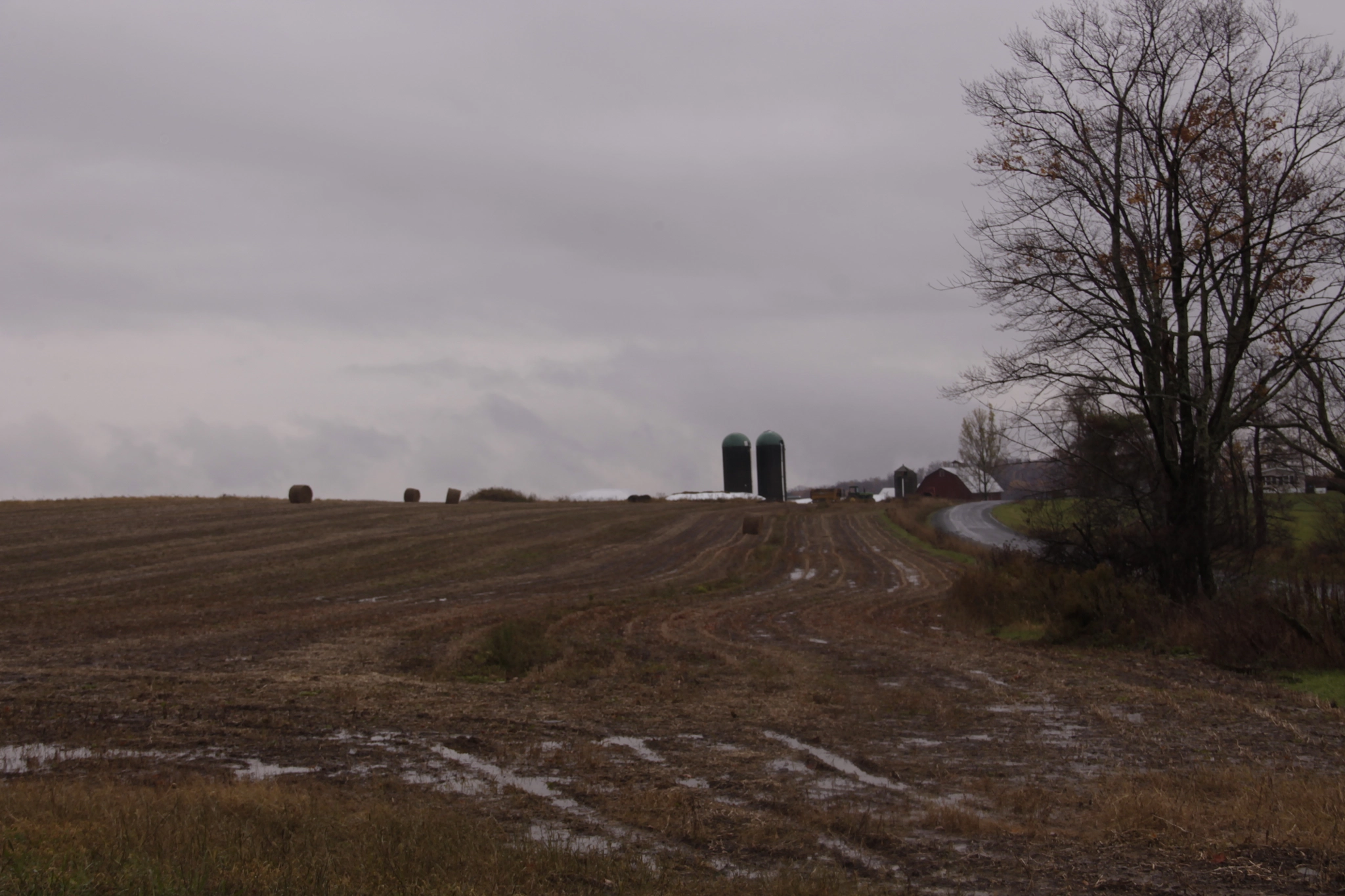 Canon EOS 1100D (EOS Rebel T3 / EOS Kiss X50) sample photo. Gloomy farm photography