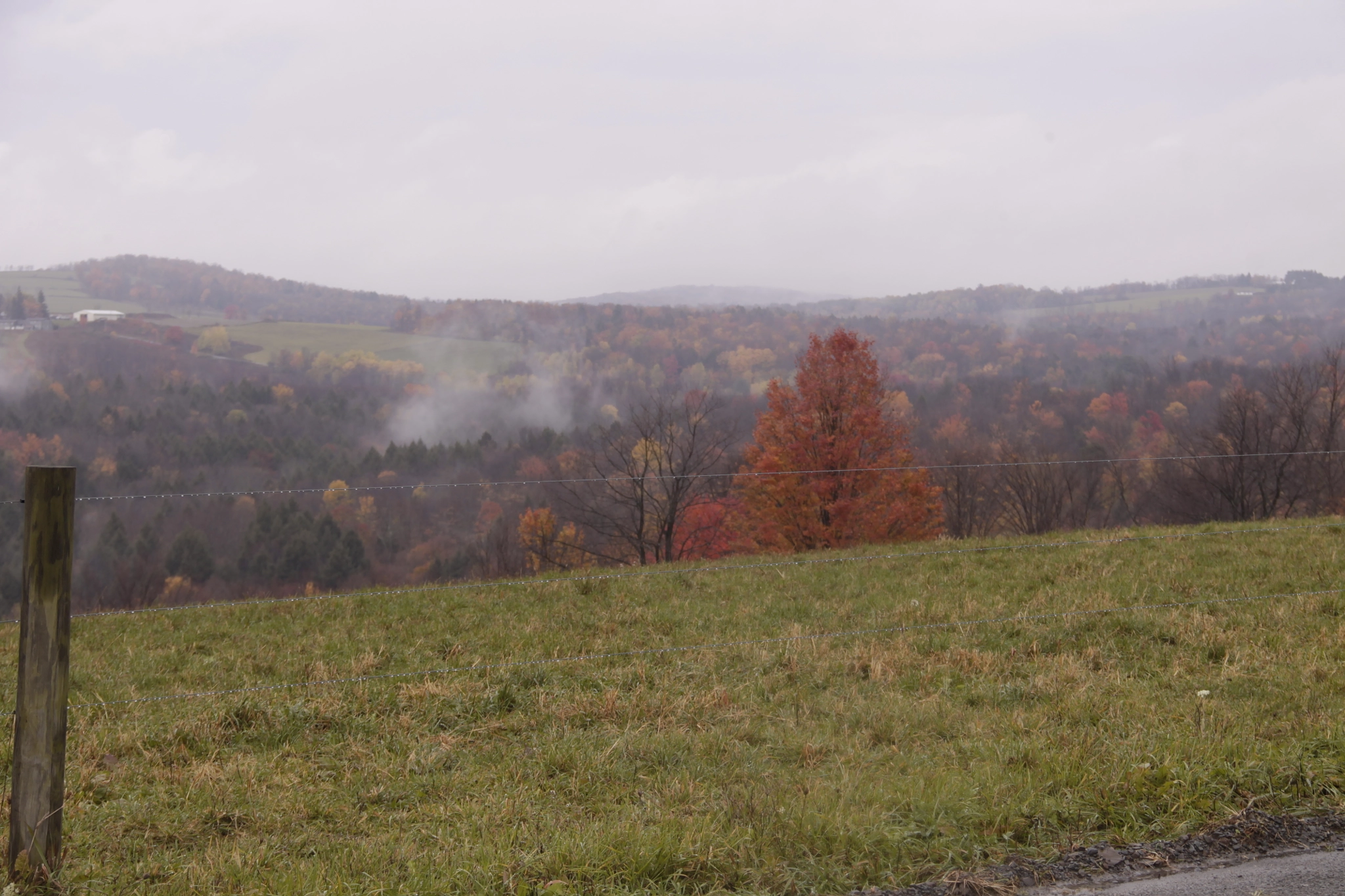 Canon EOS 1100D (EOS Rebel T3 / EOS Kiss X50) sample photo. Rainy hilltop photography