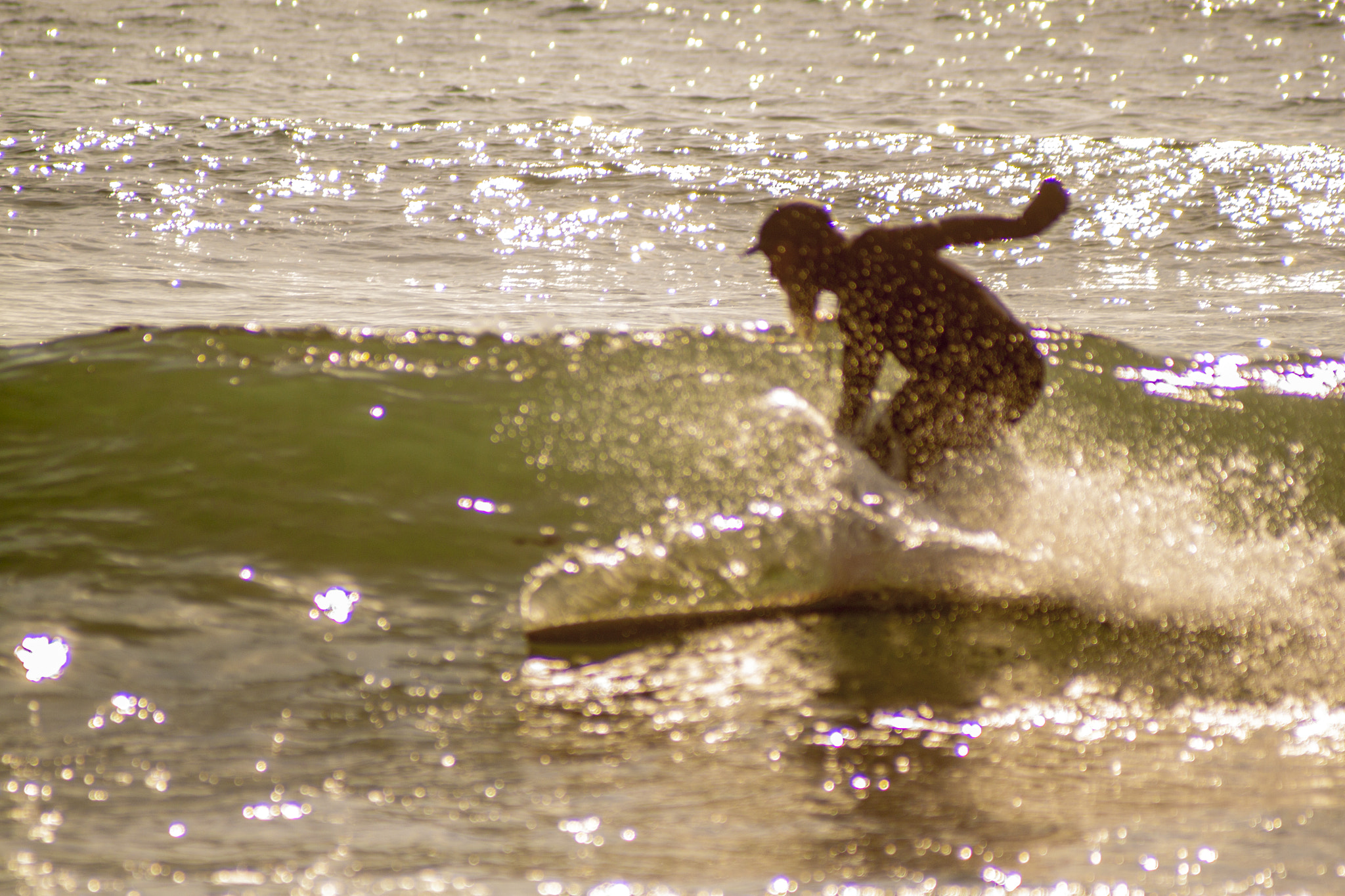 Canon EF 100-300mm F4.5-5.6 USM sample photo. Bearded surfer photography