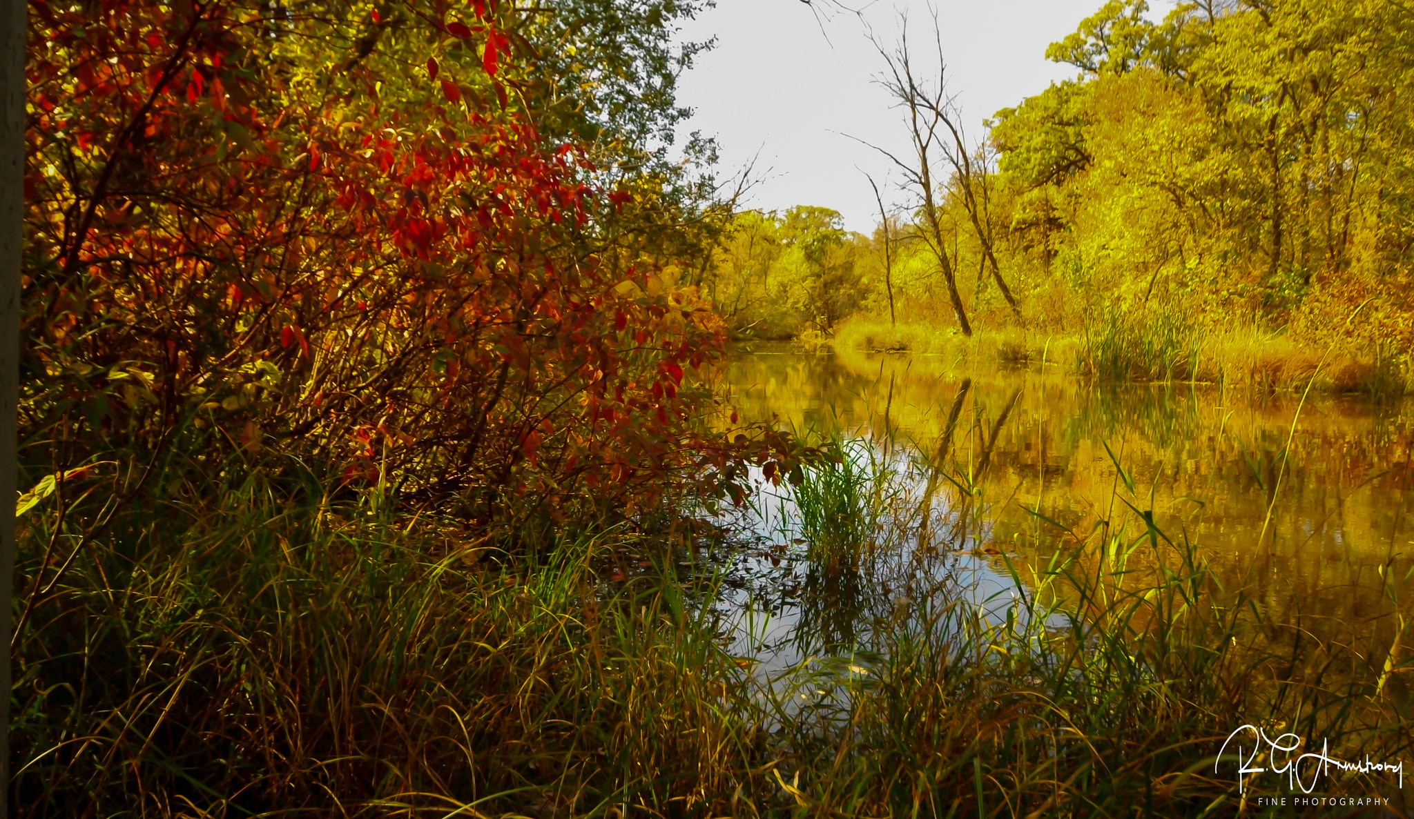 Pentax K200D sample photo. River reflections photography