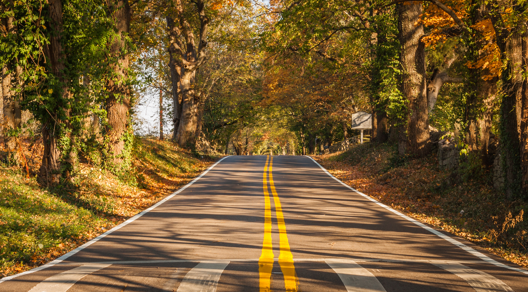 Canon EOS 40D + Canon EF-S 18-55mm F3.5-5.6 IS STM sample photo. Country road in fall with tree canopy photography