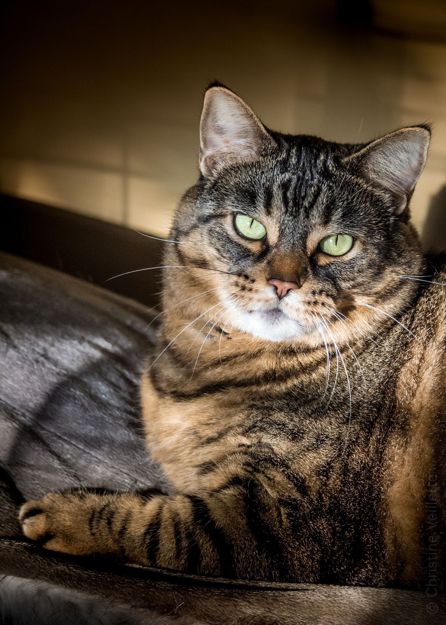 Canon EF-S 55-250mm F4-5.6 IS STM sample photo. Sunny portrait photography