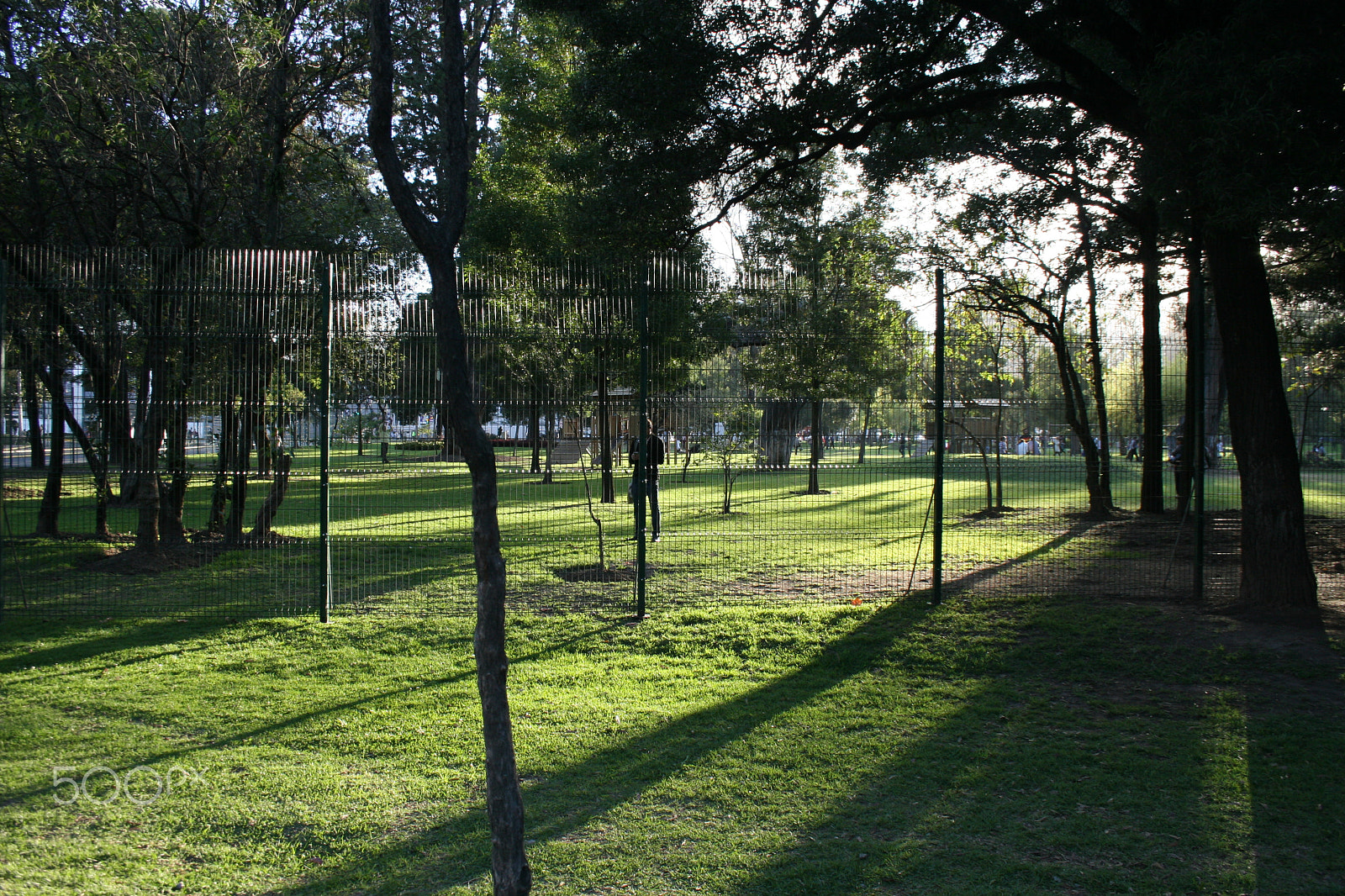 Canon EF-S 18-55mm F3.5-5.6 sample photo. Atardecer en el parque photography