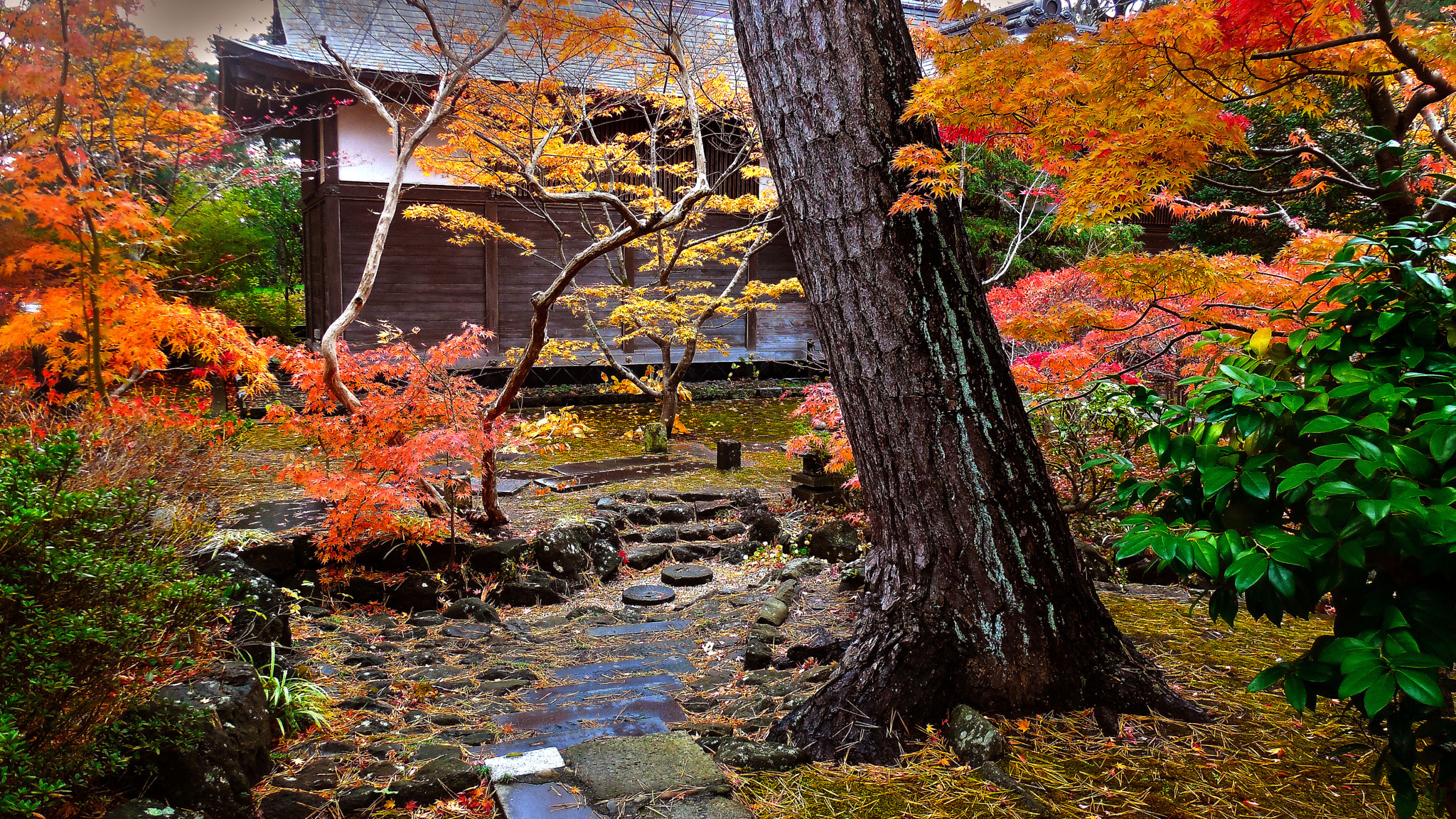 Nikon Coolpix S6400 sample photo. Autumn garden view photography