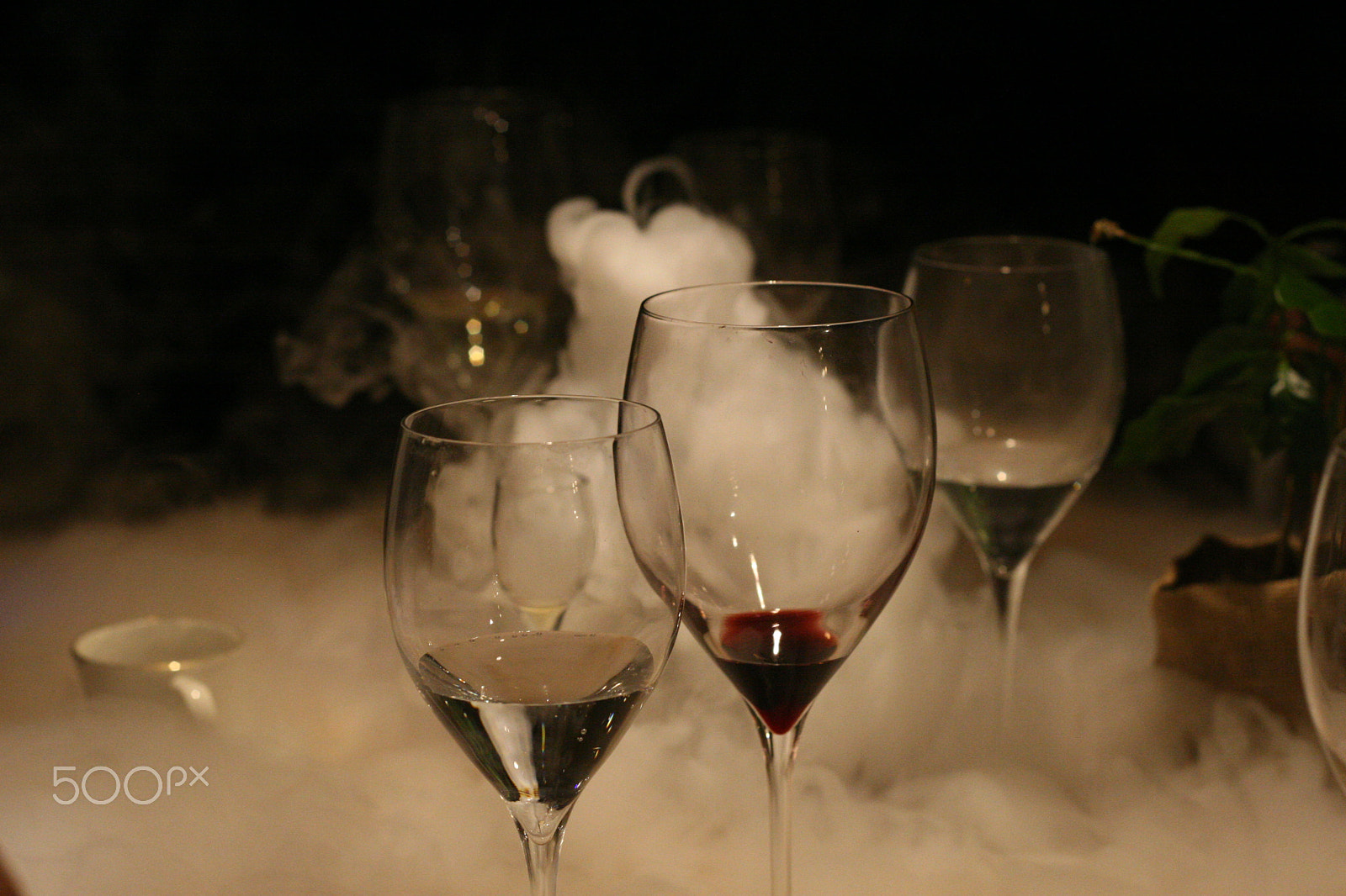 Canon EOS 30D sample photo. Copas de vino photography