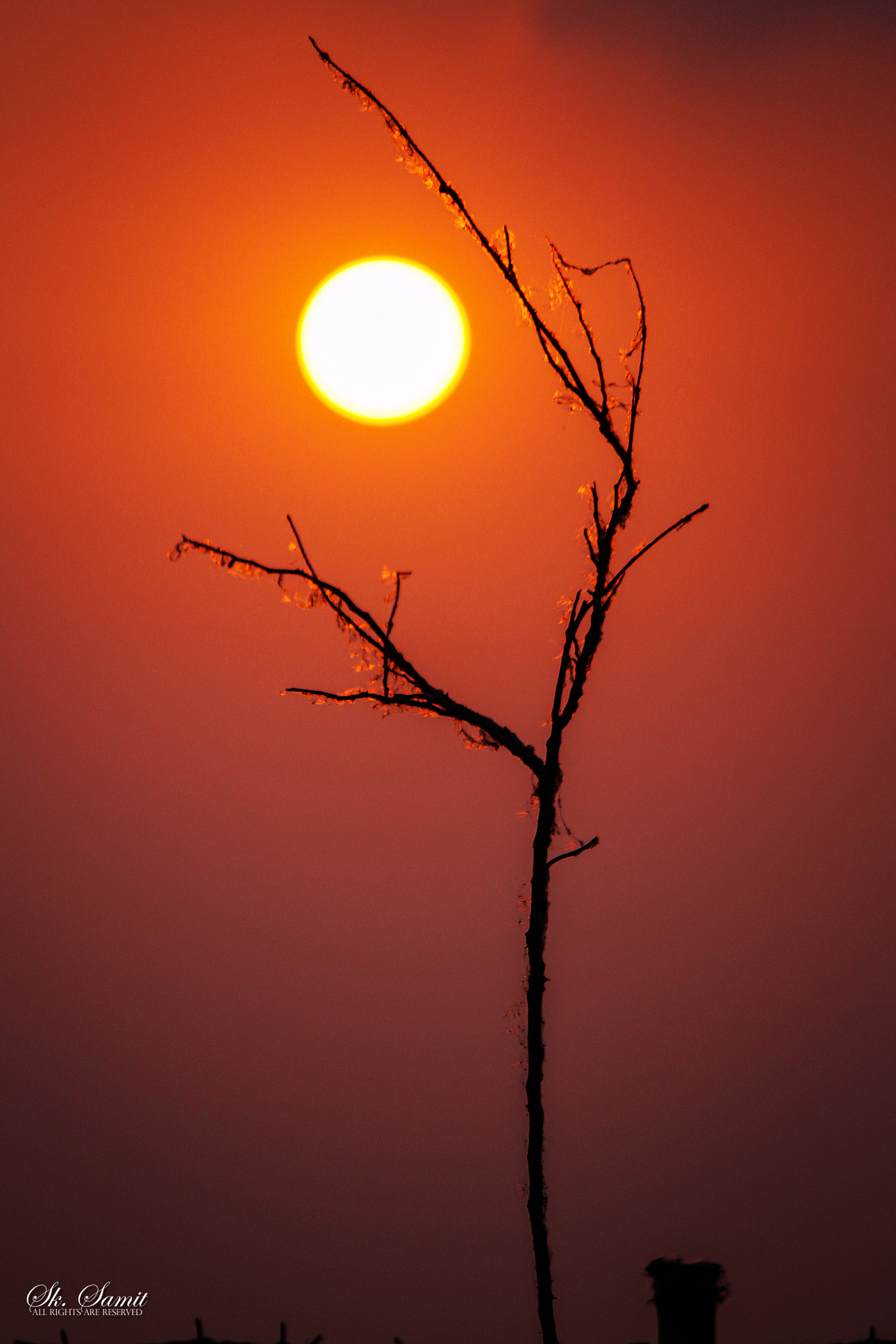 Canon EOS 100D (EOS Rebel SL1 / EOS Kiss X7) sample photo. Sunshine eye of a tree.... photography