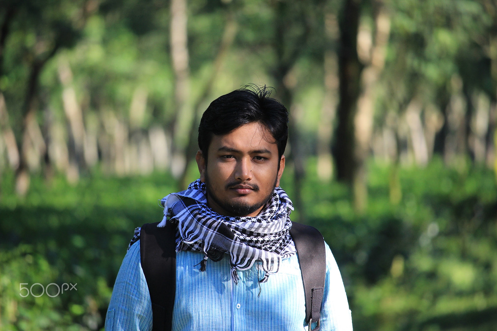 Canon EF-S 55-250mm F4-5.6 IS STM sample photo. Kazi & kazi photography