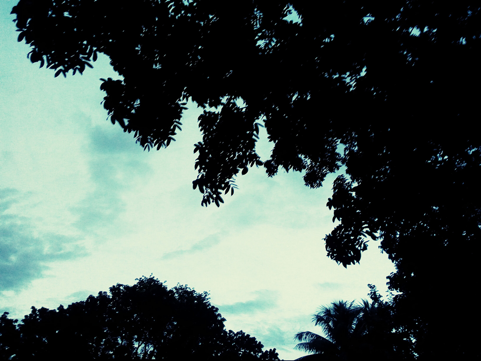 Symphony i10 sample photo