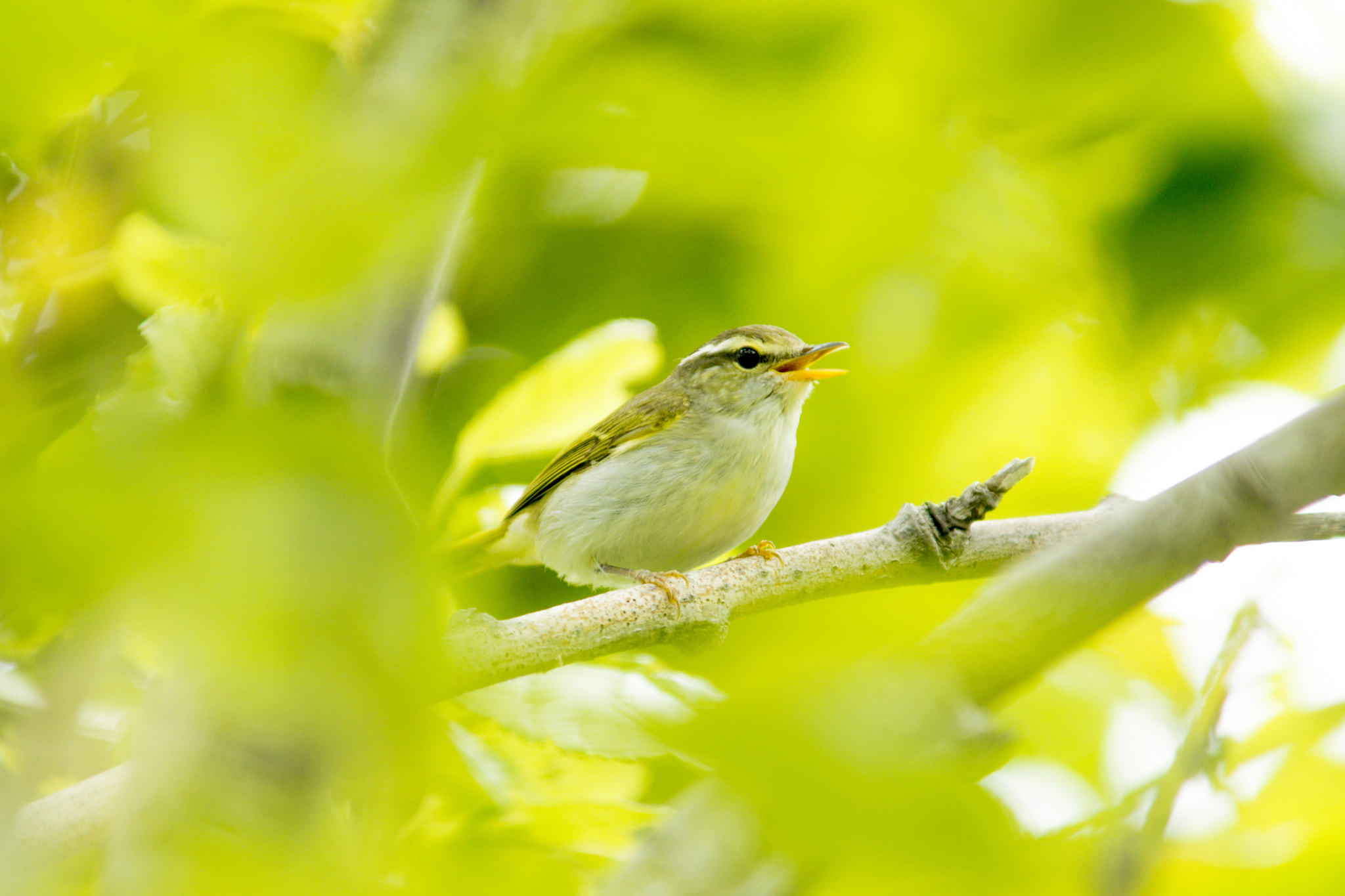 v2?sig=d0134da0883acb9f10f42c501ffe1c0c8a9227cffe9a9cad227ff253a1a13194