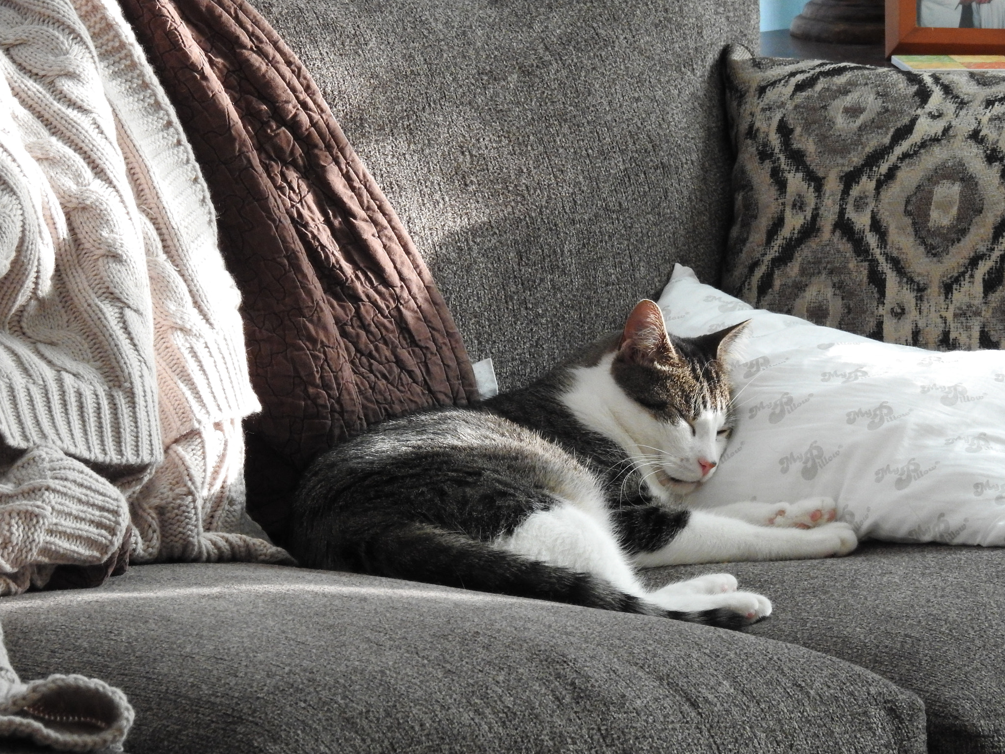 v2?sig=e2cfd3e46a19349850b0cb1b98a4457a7b177f7c271265ba7ef35b61681407ce